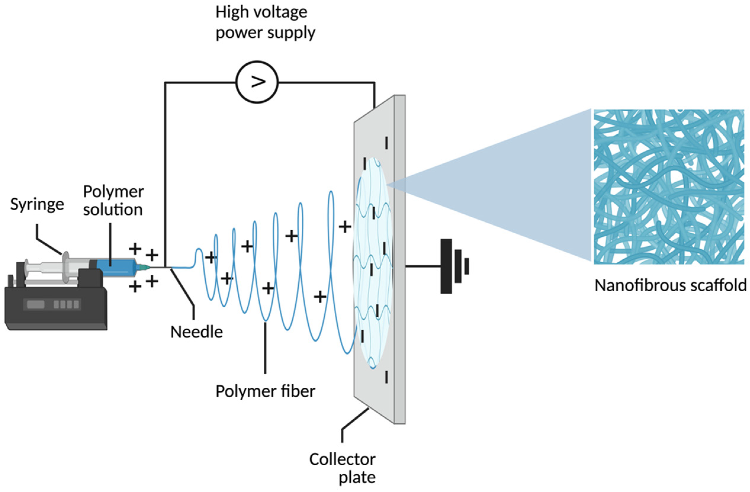 Bioengineering 11 00218 g001 Bioengineering 11 00218 g001