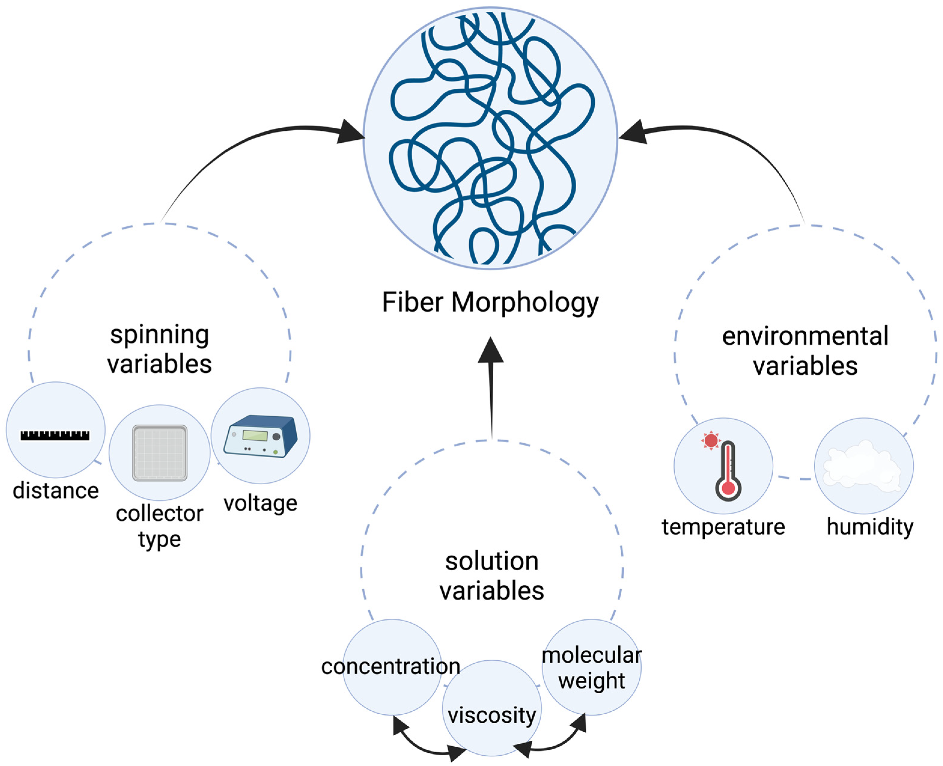 Bioengineering 11 00218 g002 Bioengineering 11 00218 g002