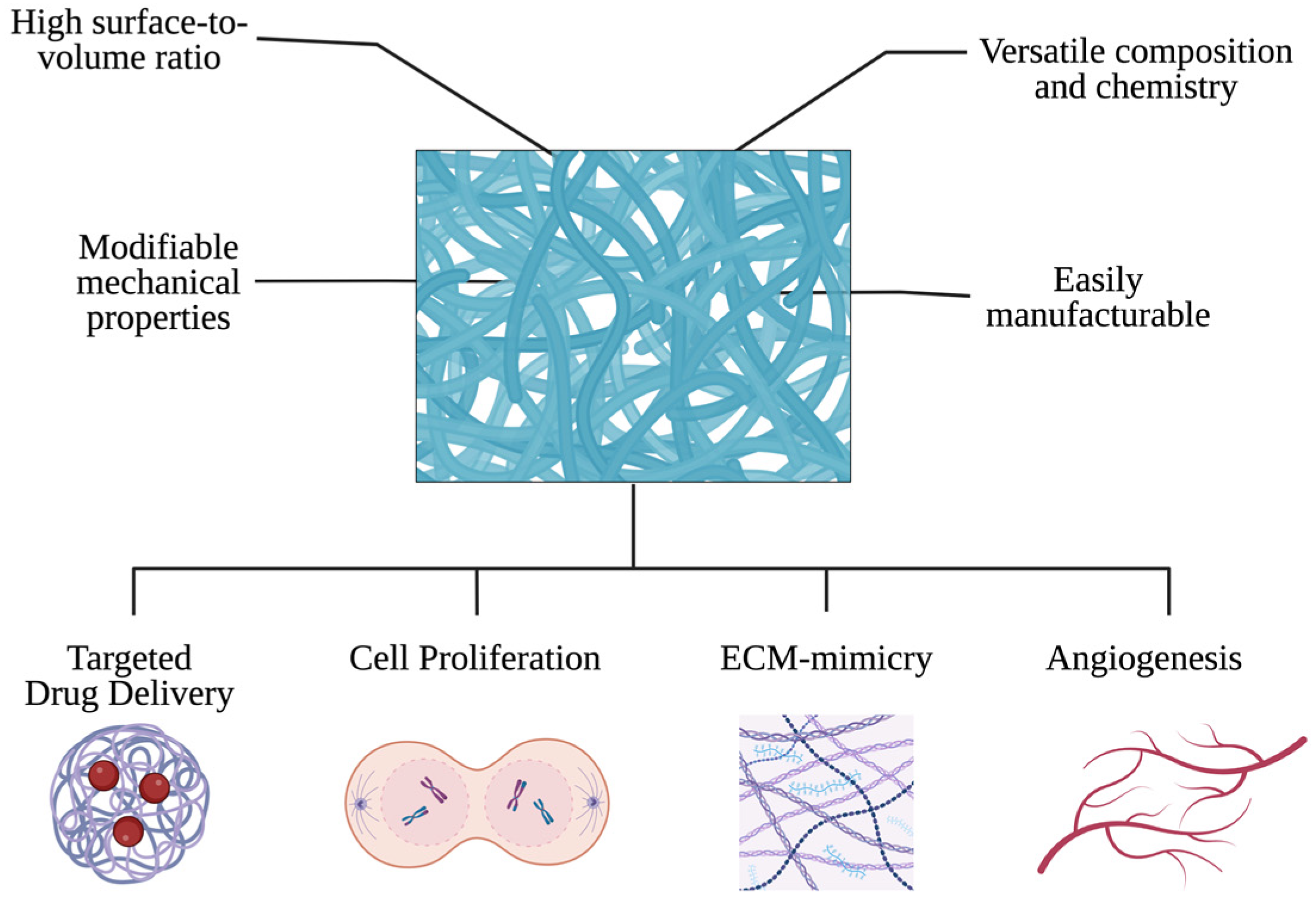 Bioengineering 11 00218 g003 Bioengineering 11 00218 g003