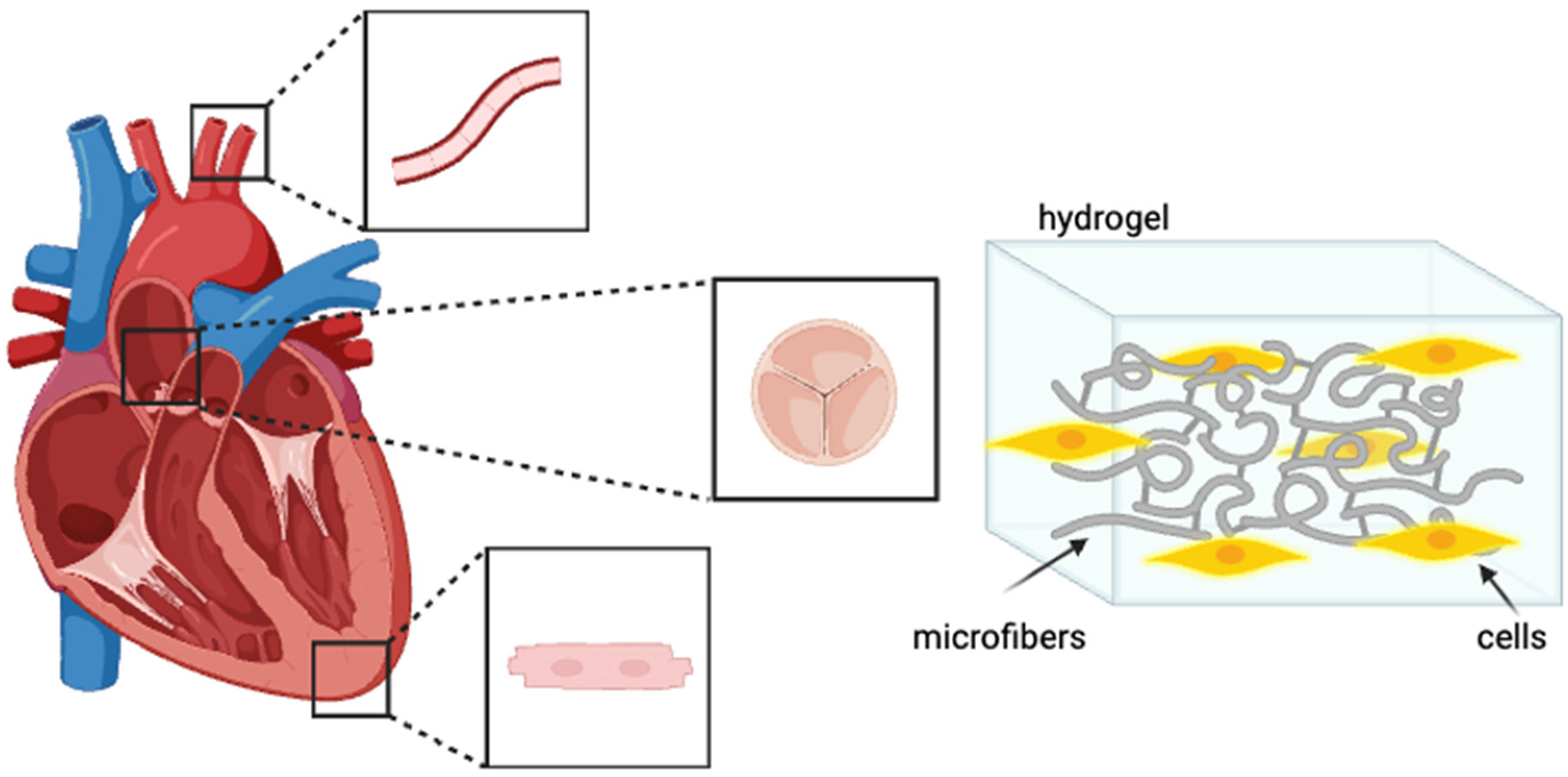 Bioengineering 11 00218 g004 Bioengineering 11 00218 g004