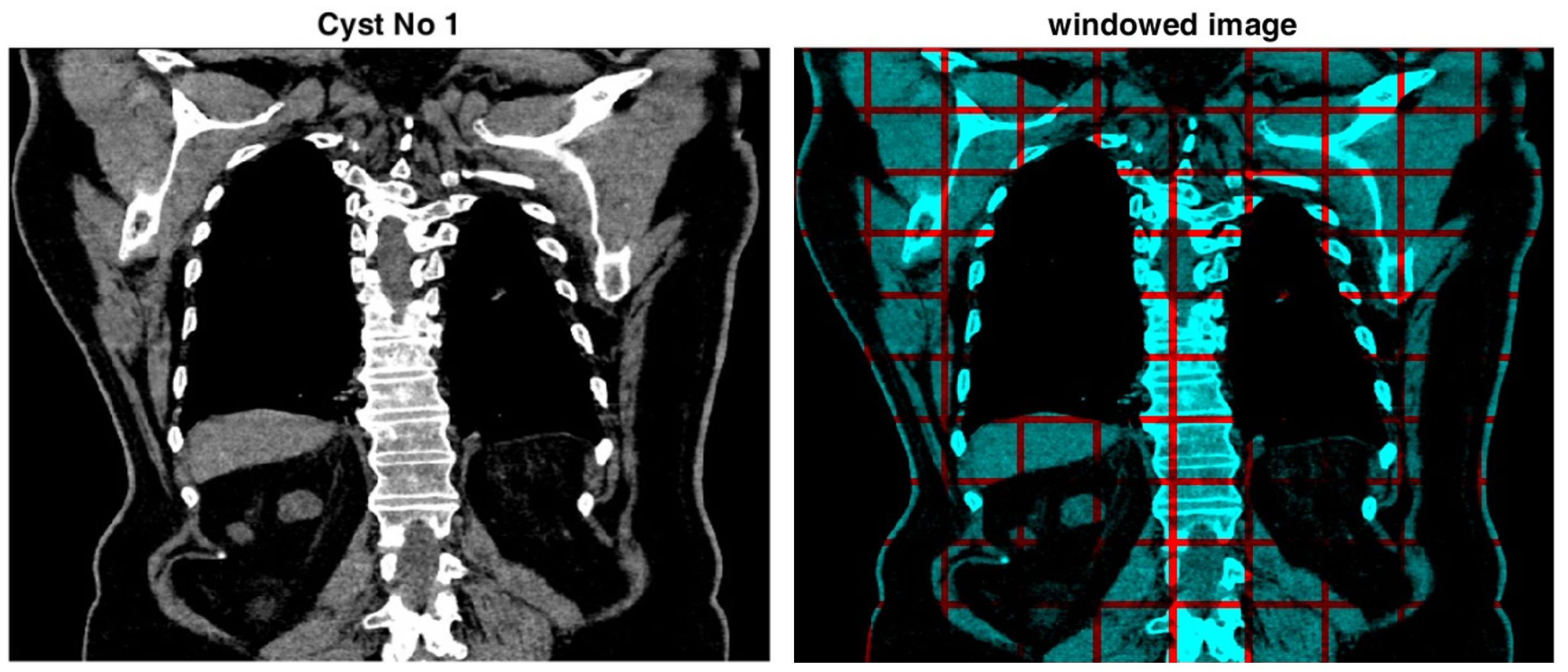 Bioengineering 11 00220 g003
