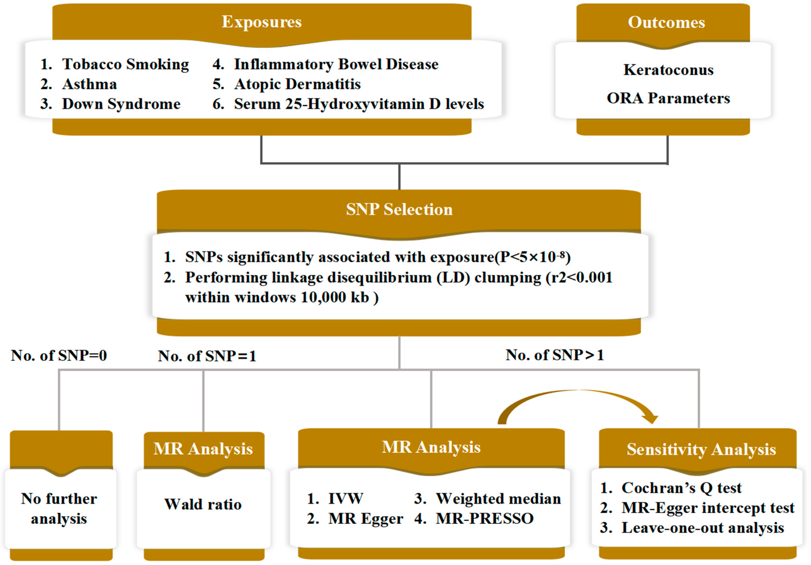 Bioengineering 11 00221 g001