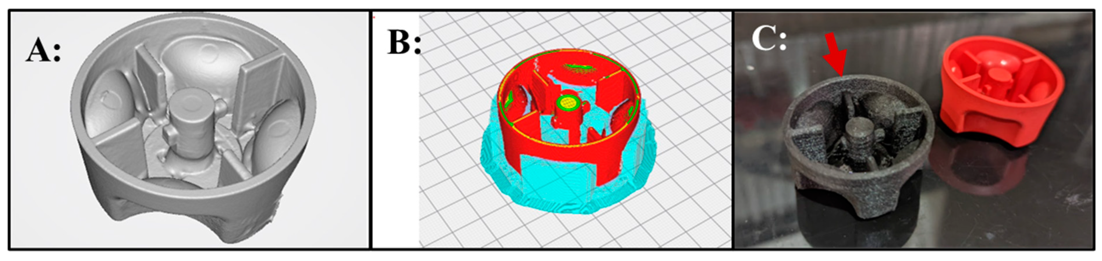 Bioengineering 11 00232 g002