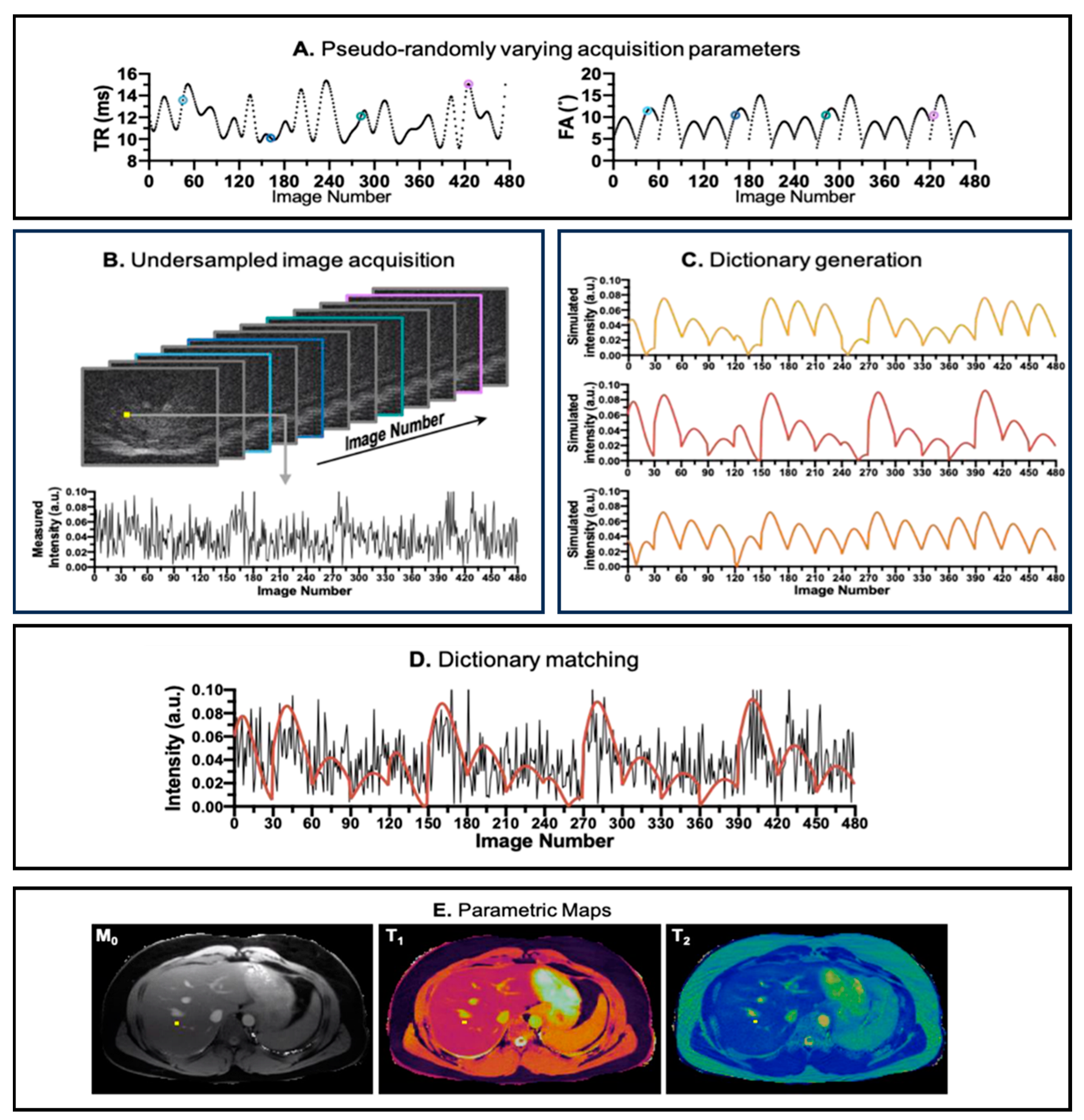 Bioengineering 11 00236 g001