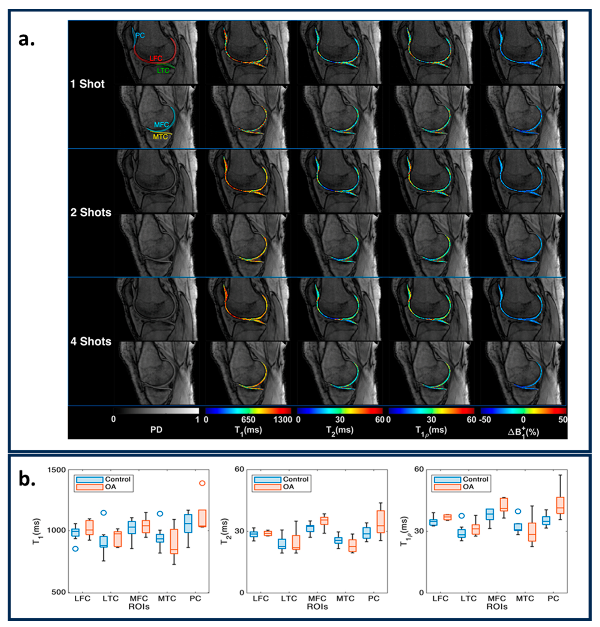 Bioengineering 11 00236 g006