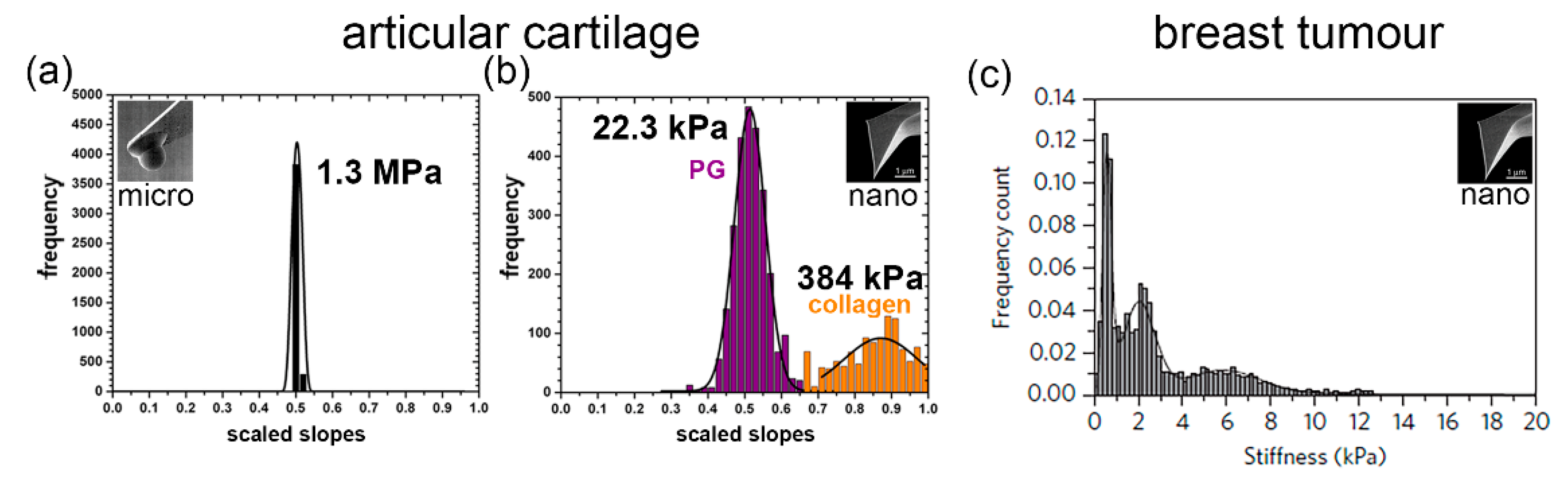 Bioengineering 11 00237 g001