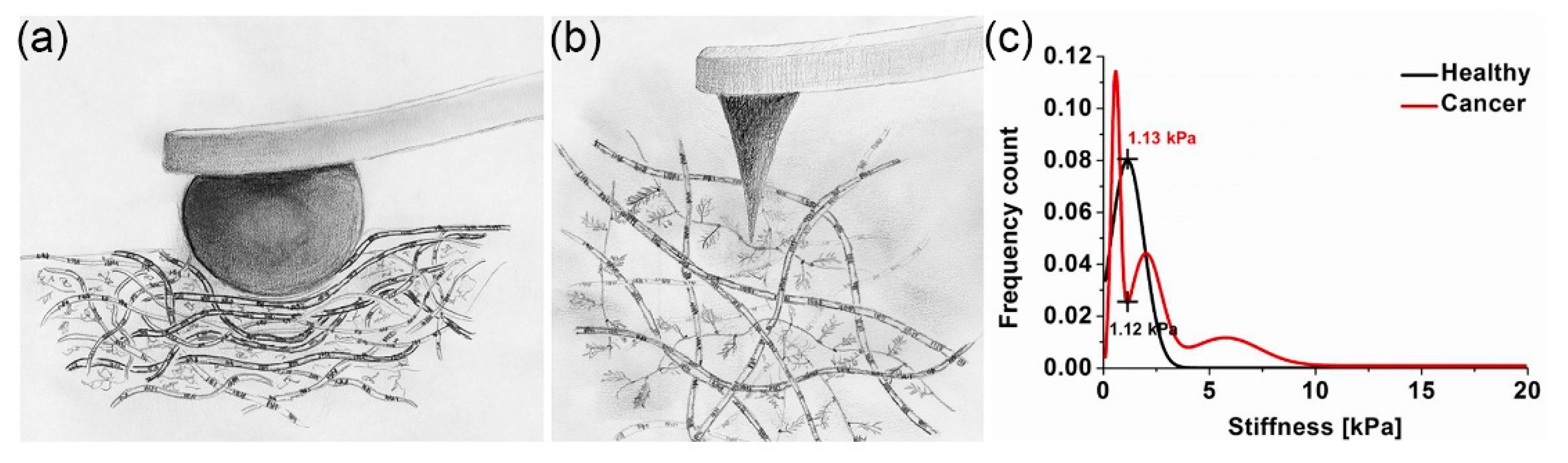 Bioengineering 11 00237 g002