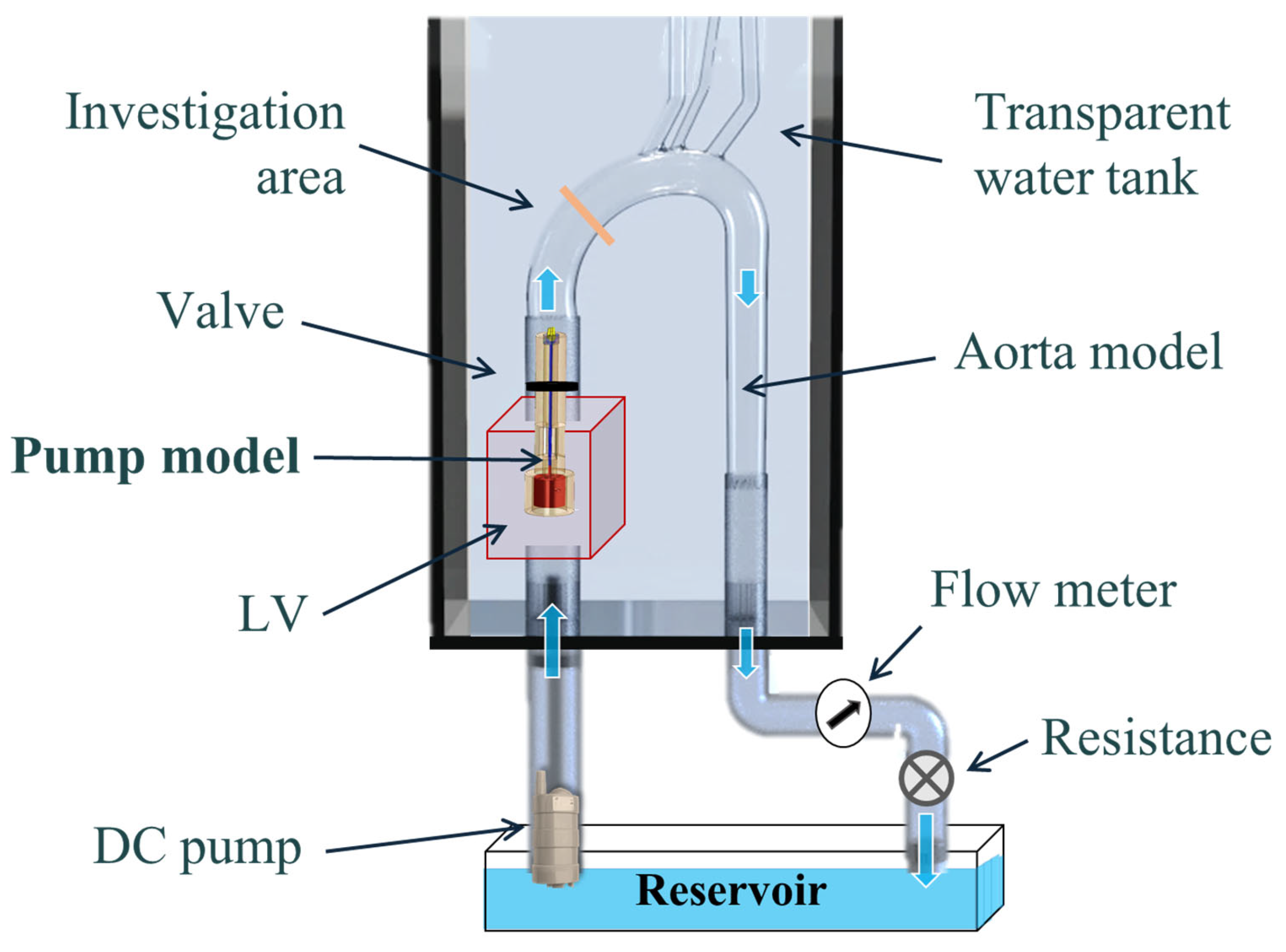 Bioengineering 11 00238 g001 Bioengineering 11 00238 g001