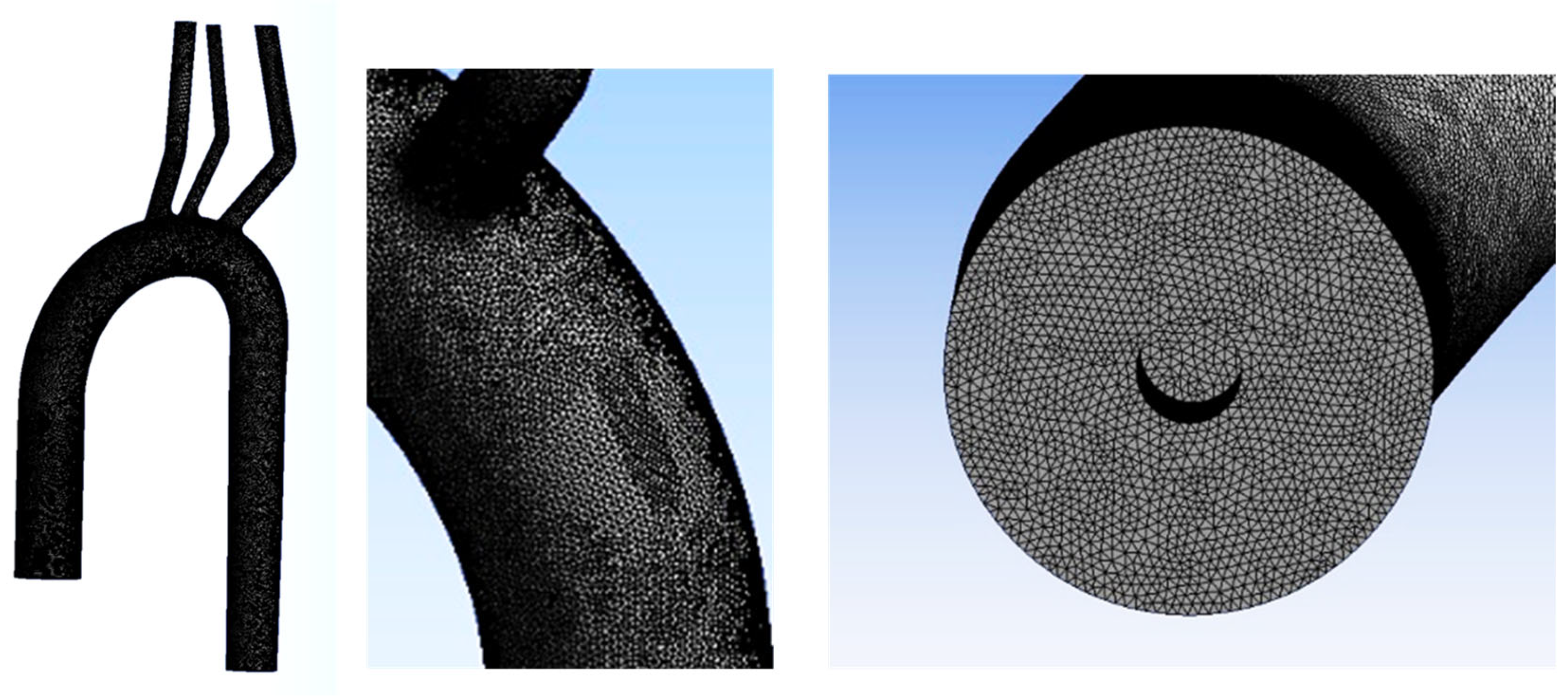Bioengineering 11 00238 g005 Bioengineering 11 00238 g005
