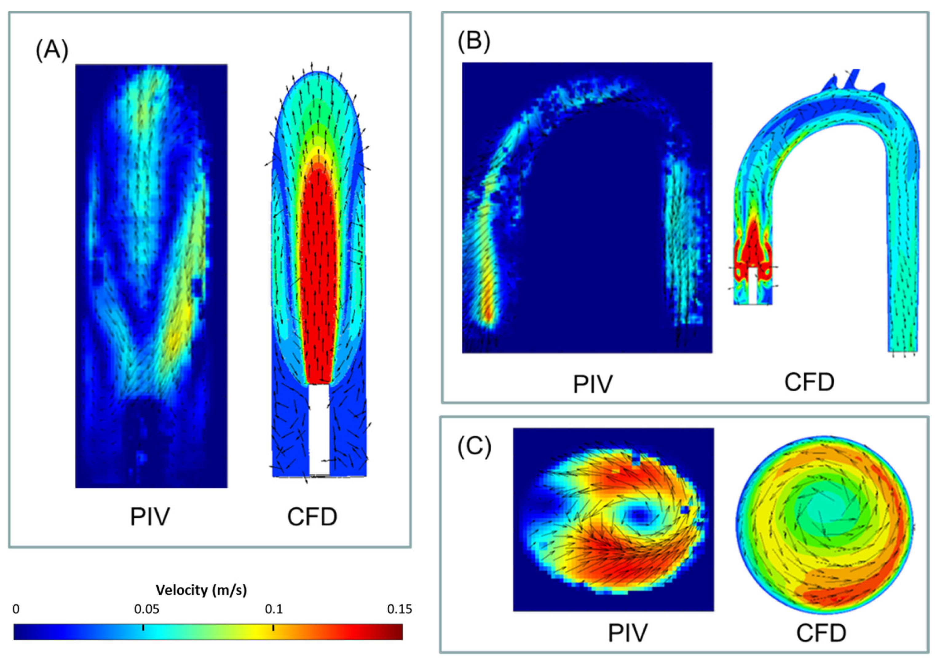 Bioengineering 11 00238 g006 Bioengineering 11 00238 g006