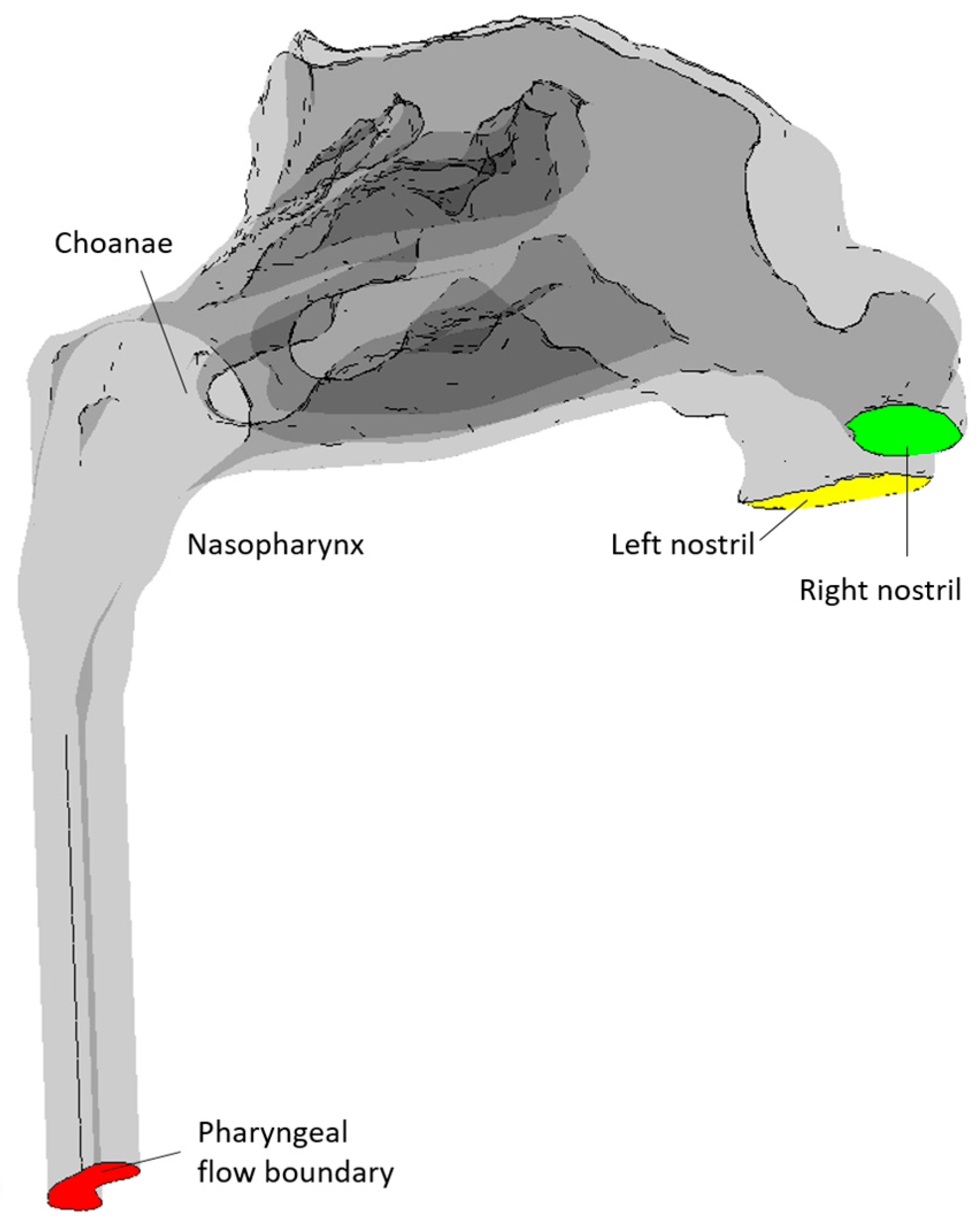 Bioengineering 11 00239 g005