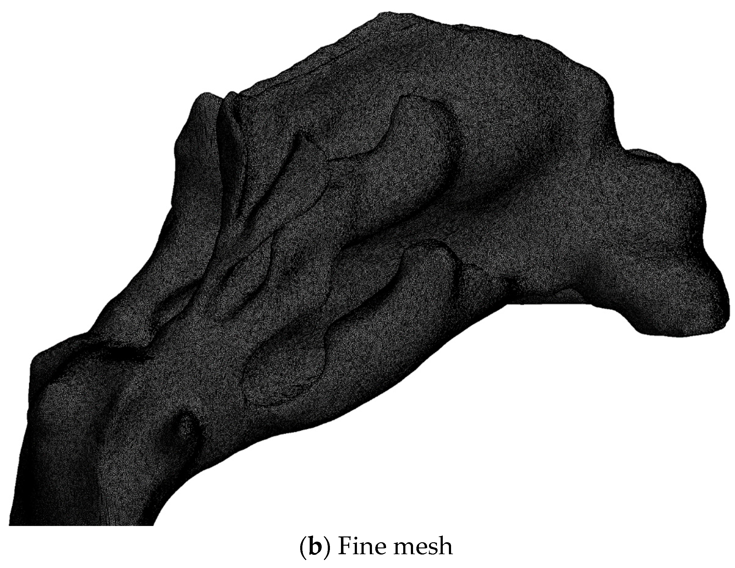 Bioengineering 11 00239 g006b