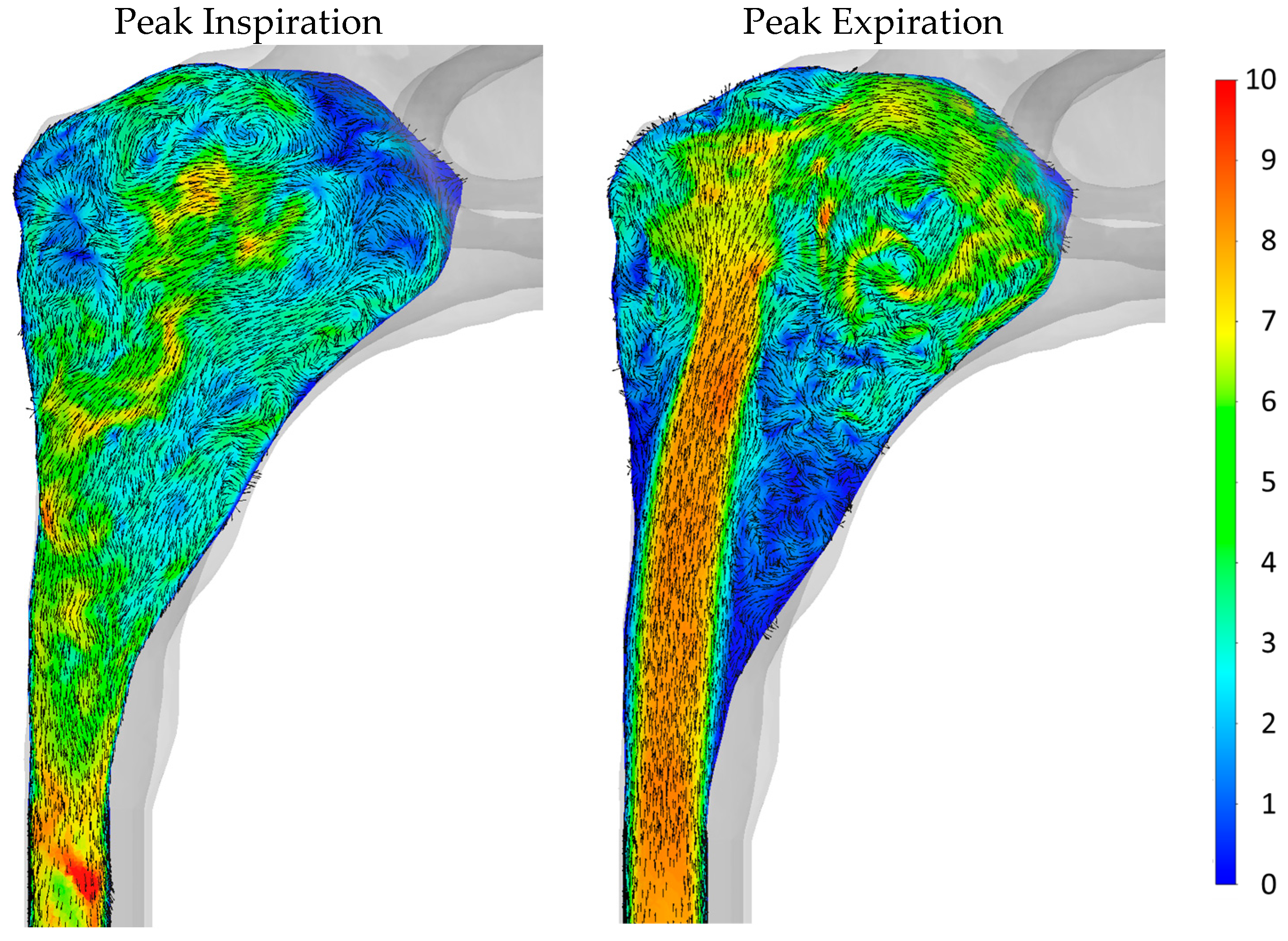 Bioengineering 11 00239 g022