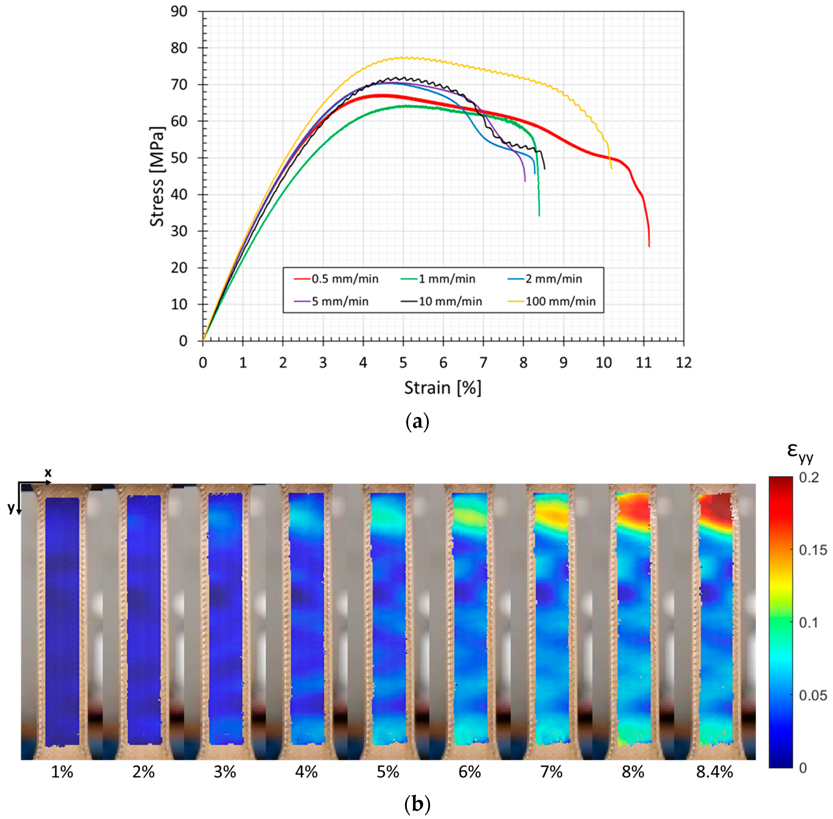 Bioengineering 11 00244 g006