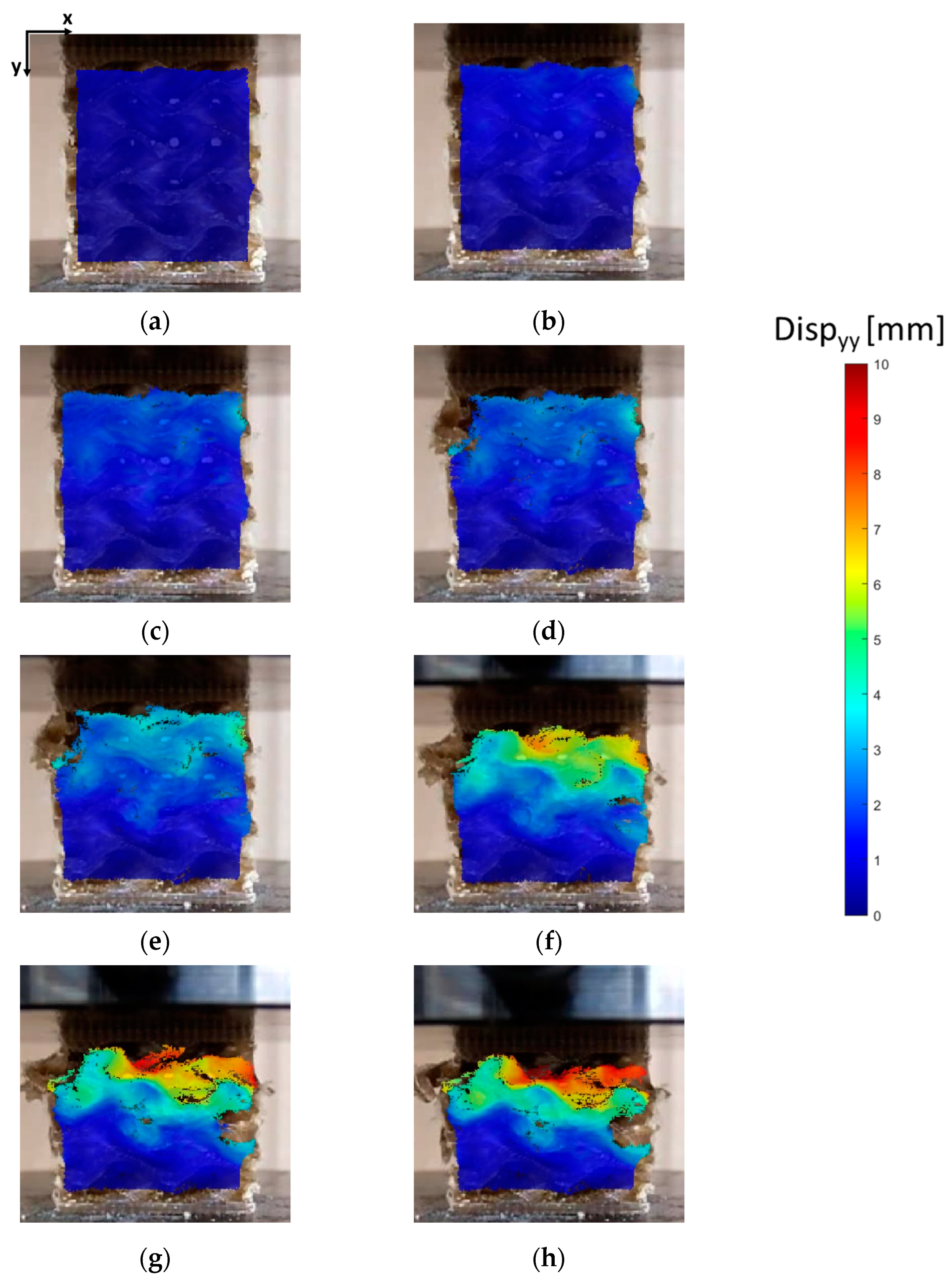 Bioengineering 11 00244 g009