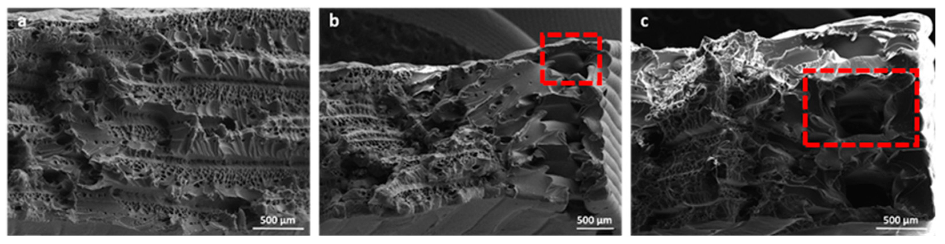 Bioengineering 11 00244 g012
