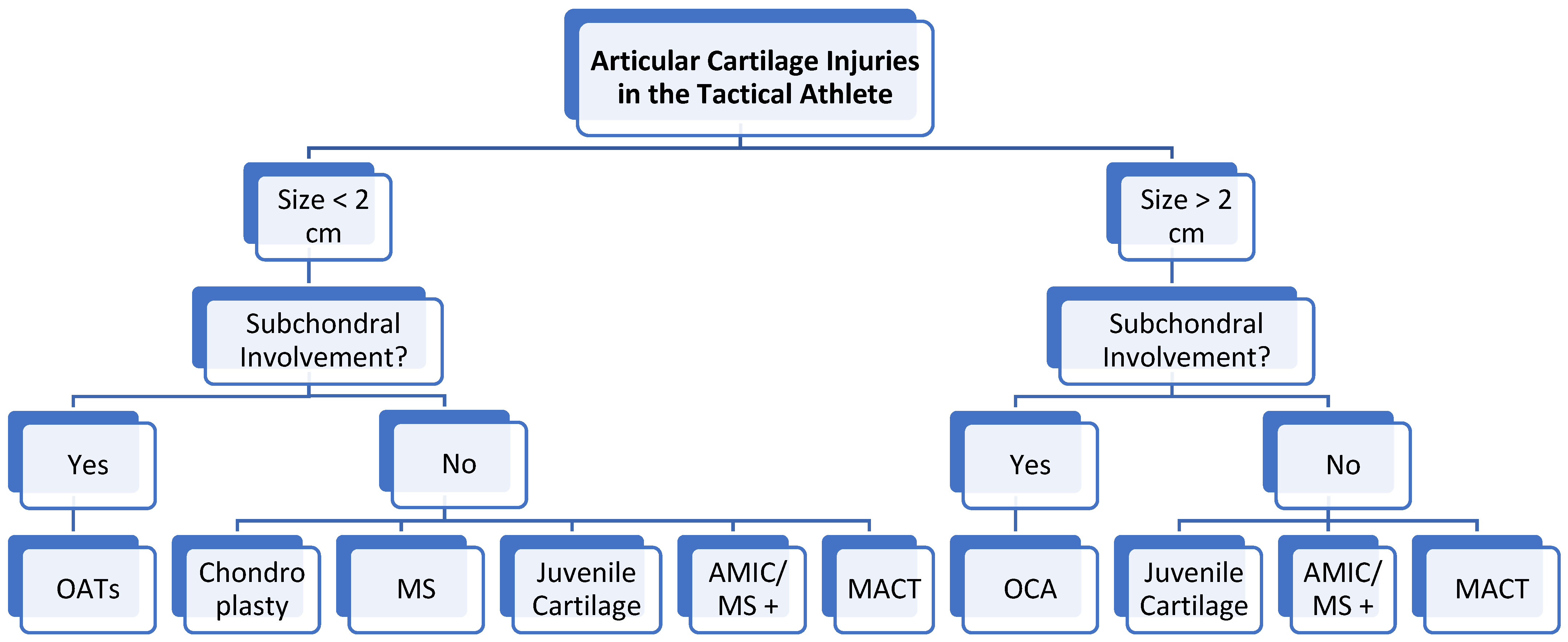 Bioengineering 11 00246 g002