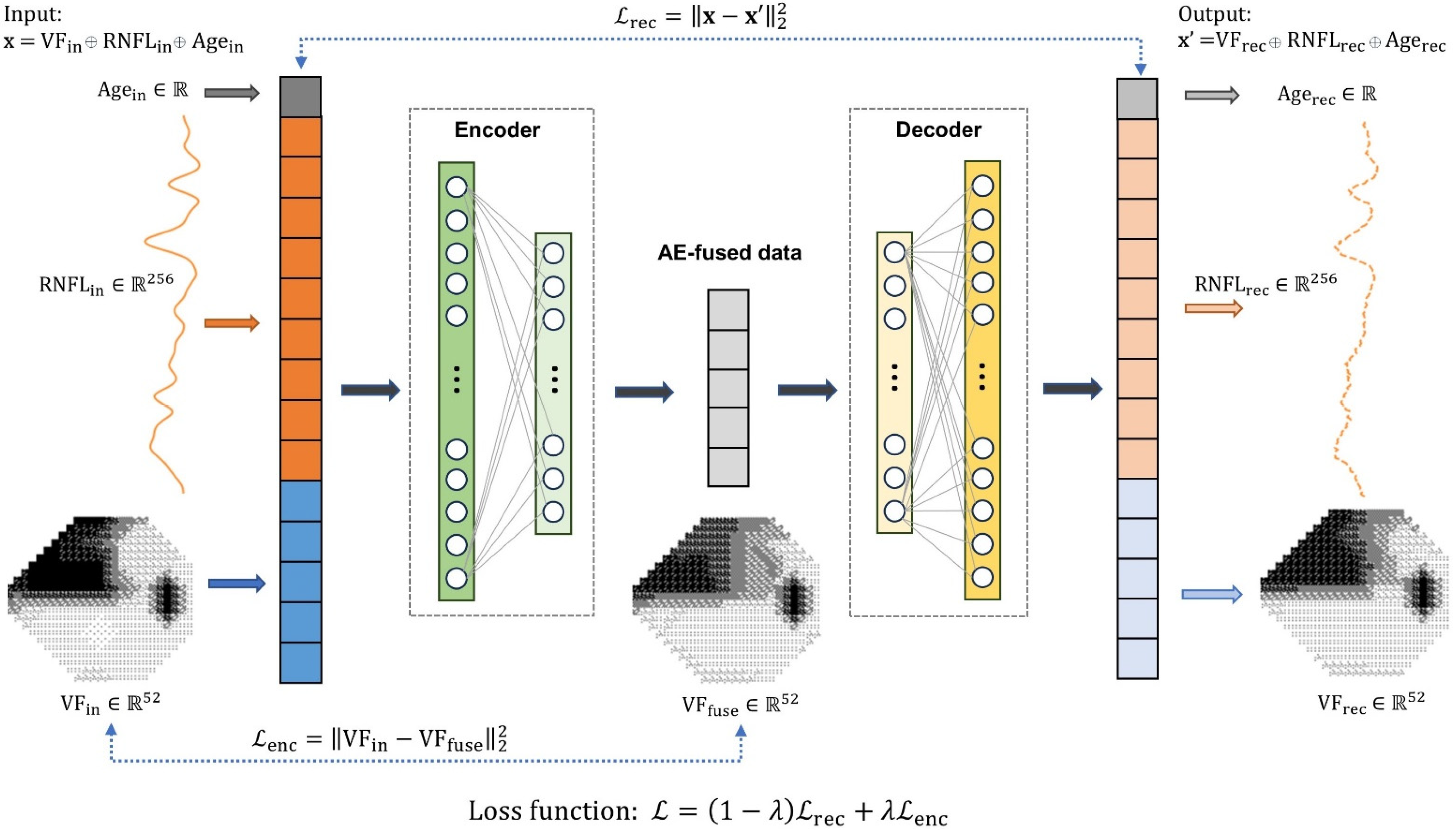 Bioengineering 11 00250 g001