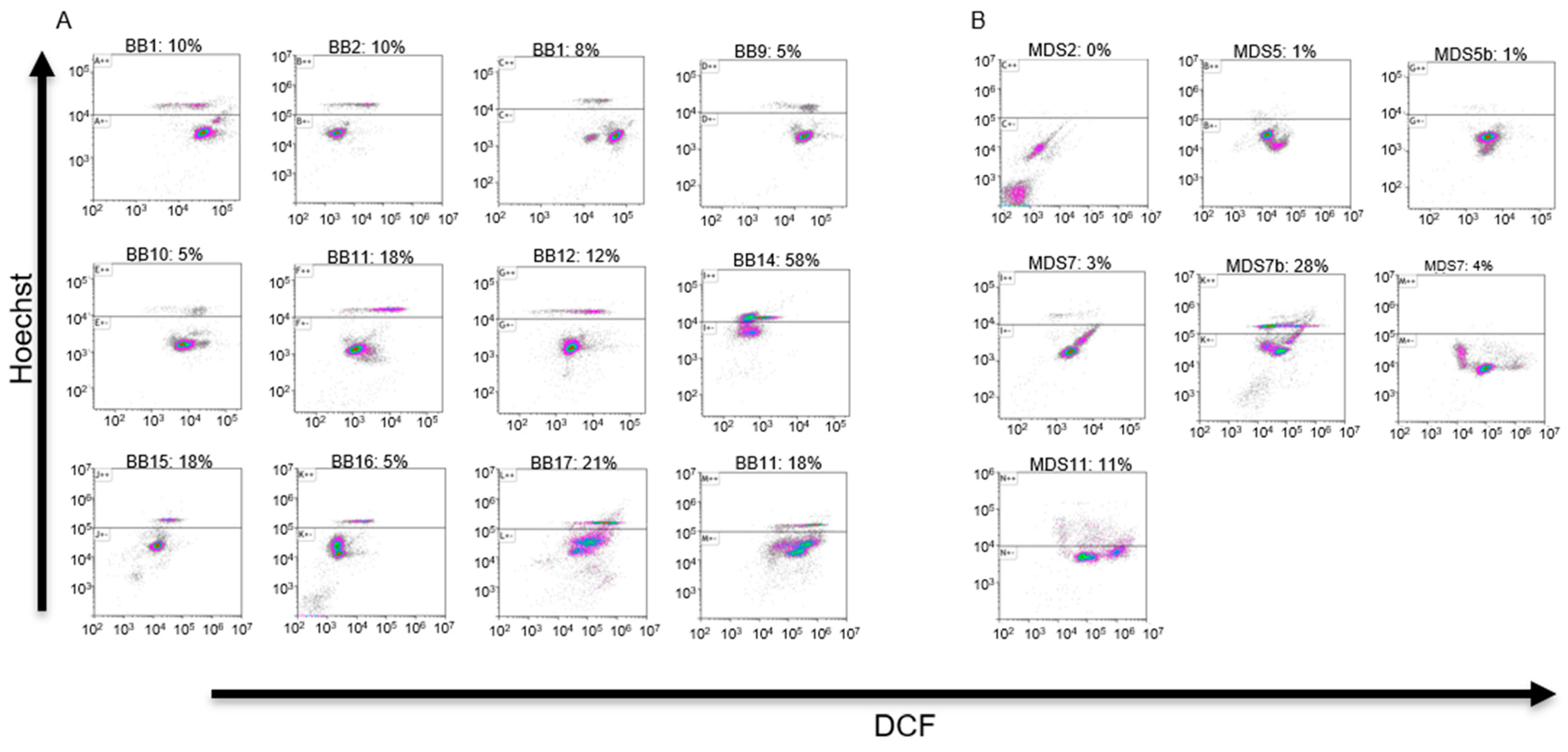 Bioengineering 11 00256 g002