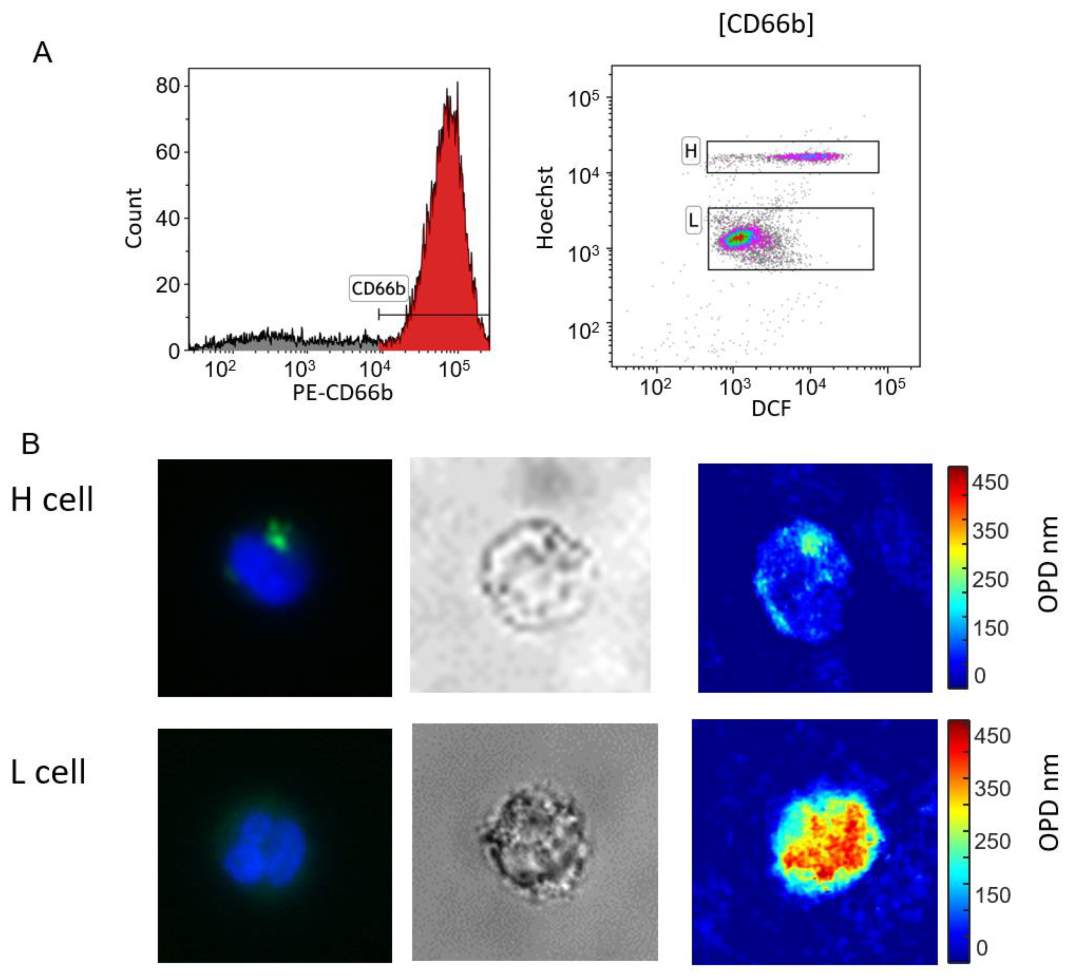 Bioengineering 11 00256 g003