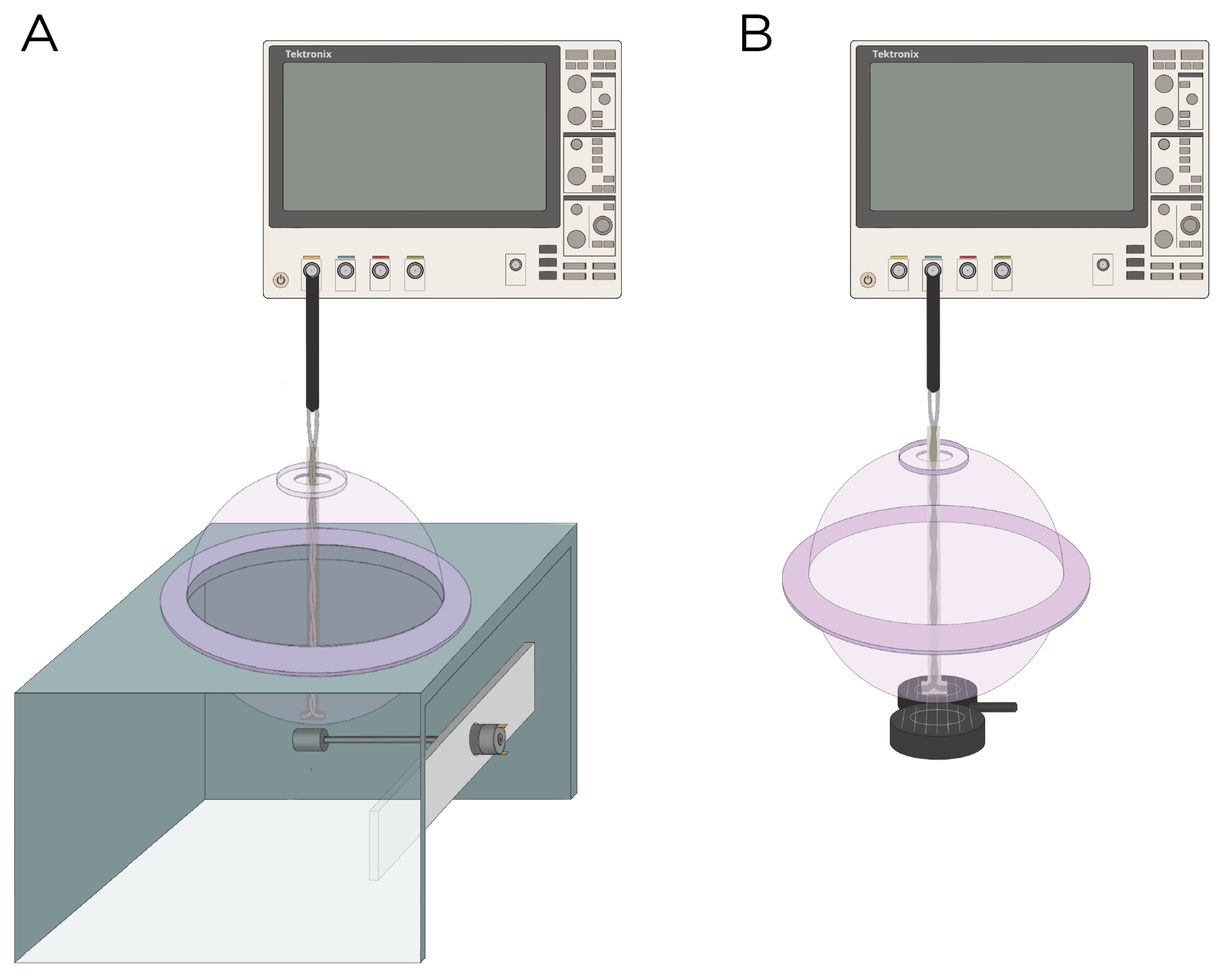 Bioengineering 11 00258 g002