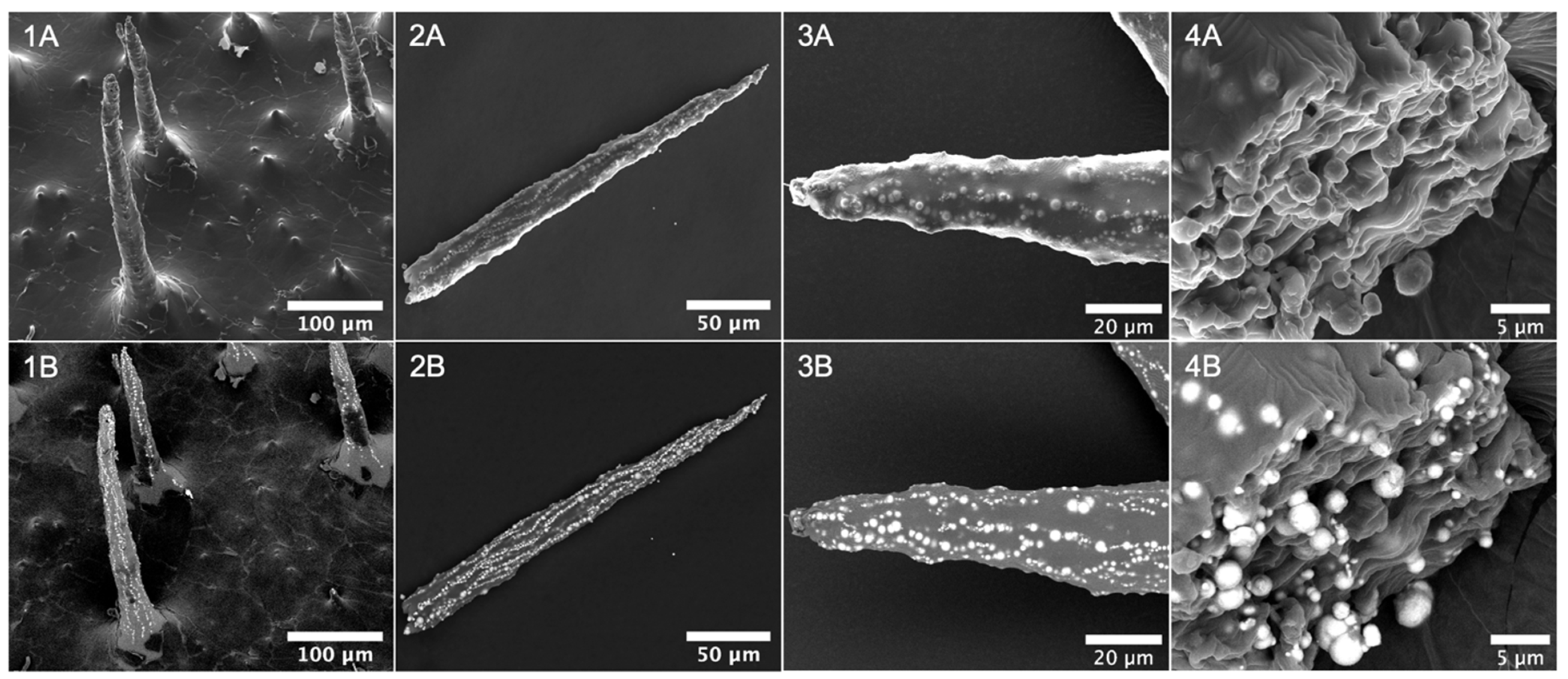 Bioengineering 11 00261 g002
