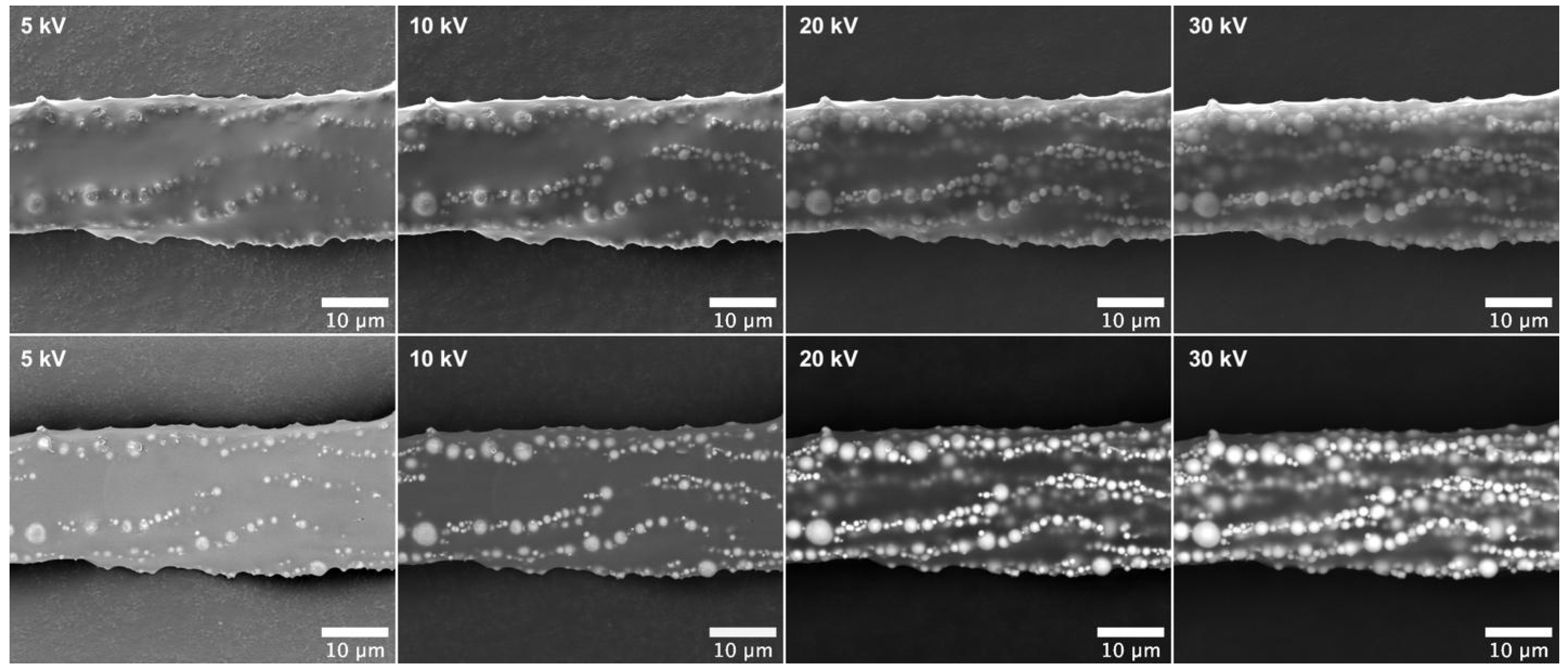 Bioengineering 11 00261 g003