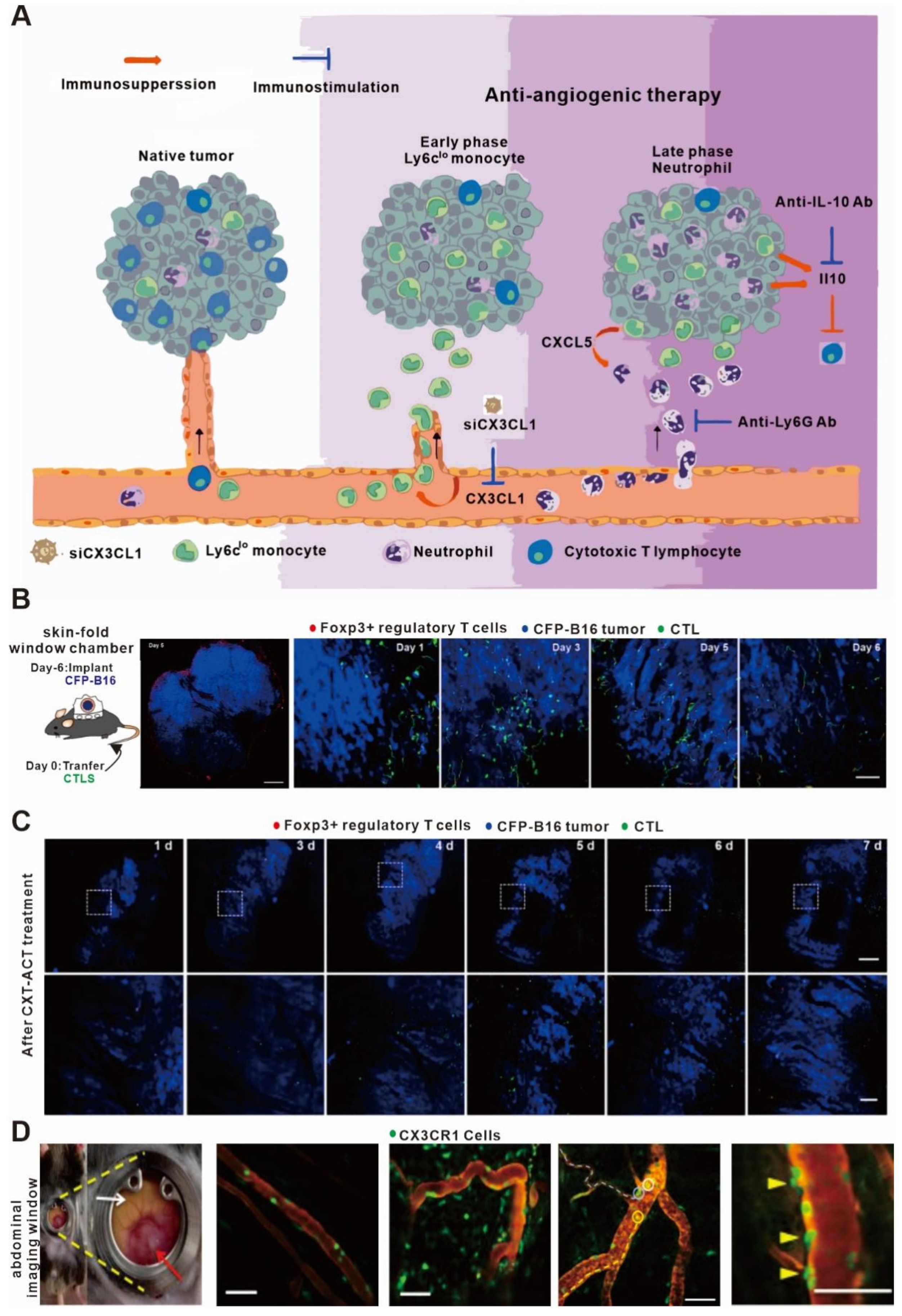 Bioengineering 11 00264 g003