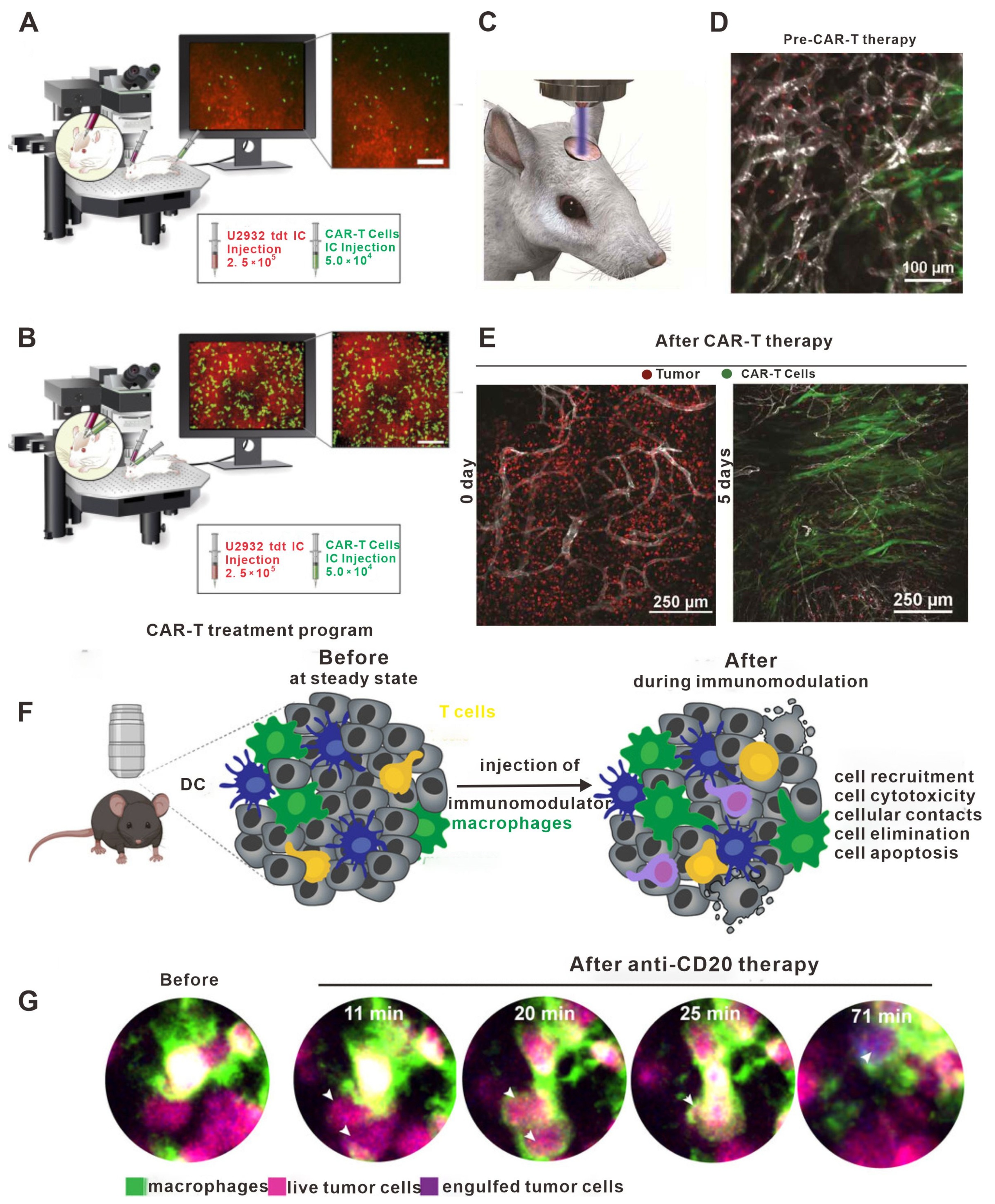 Bioengineering 11 00264 g006