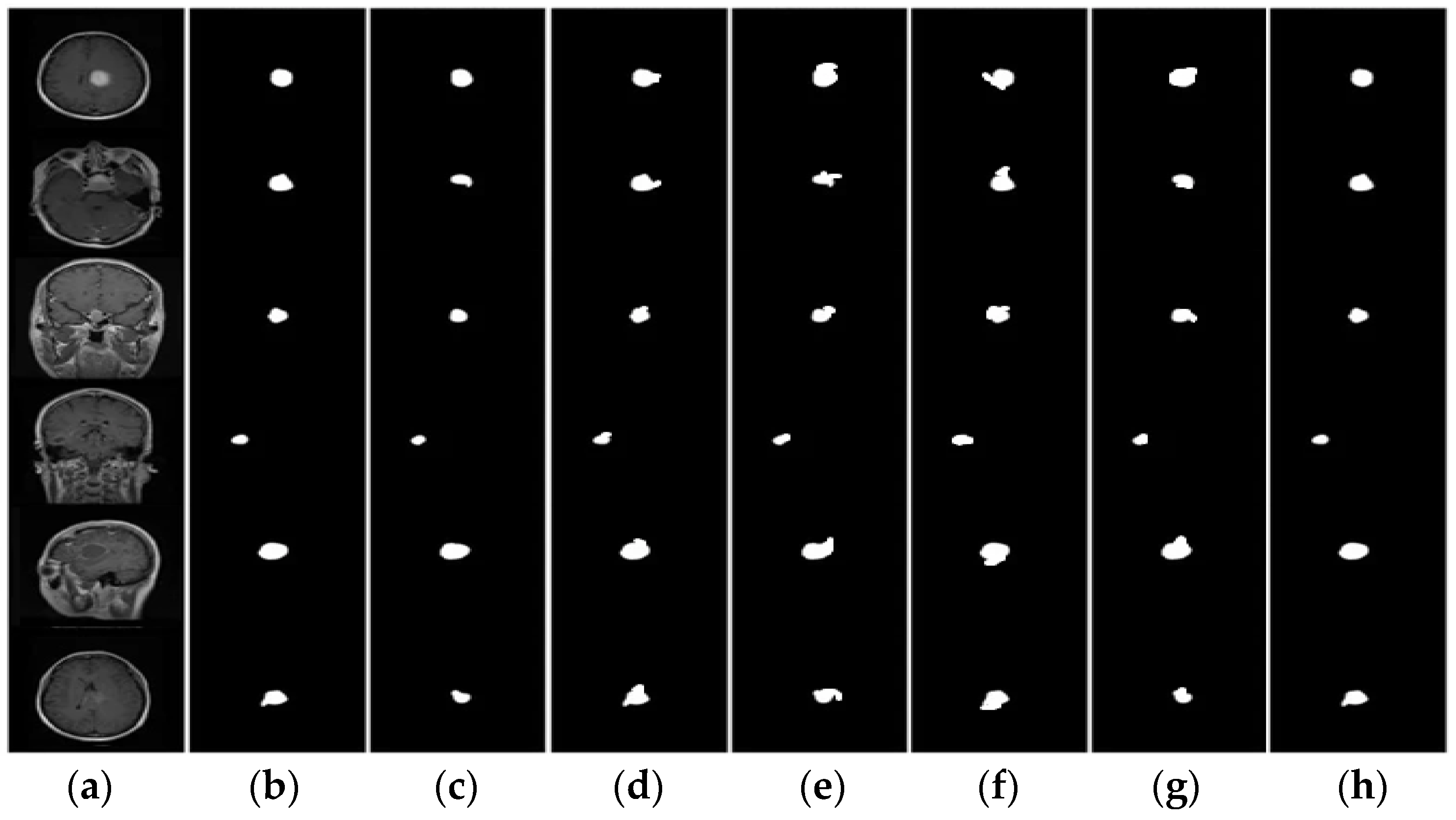 Bioengineering 11 00266 g003