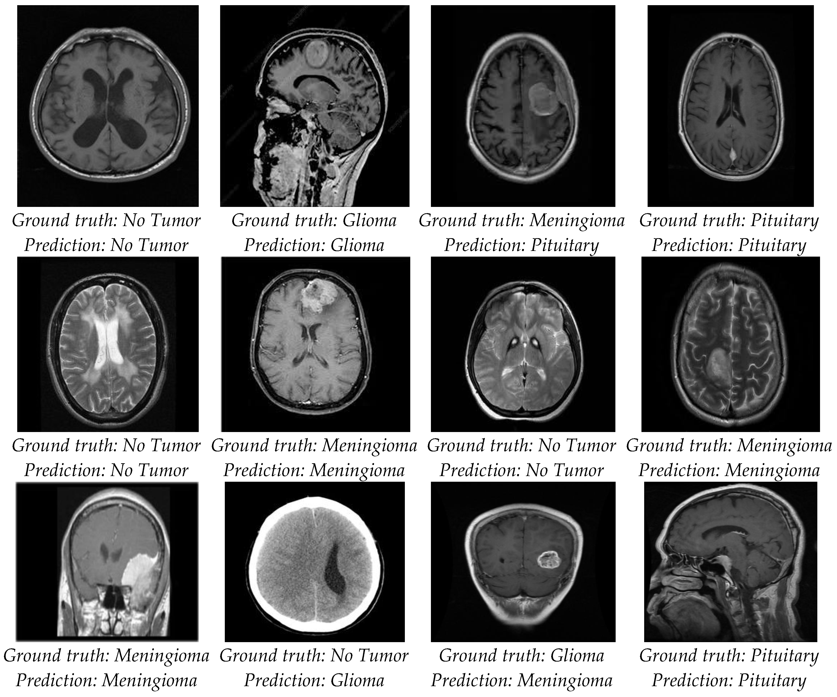 Bioengineering 11 00266 g007
