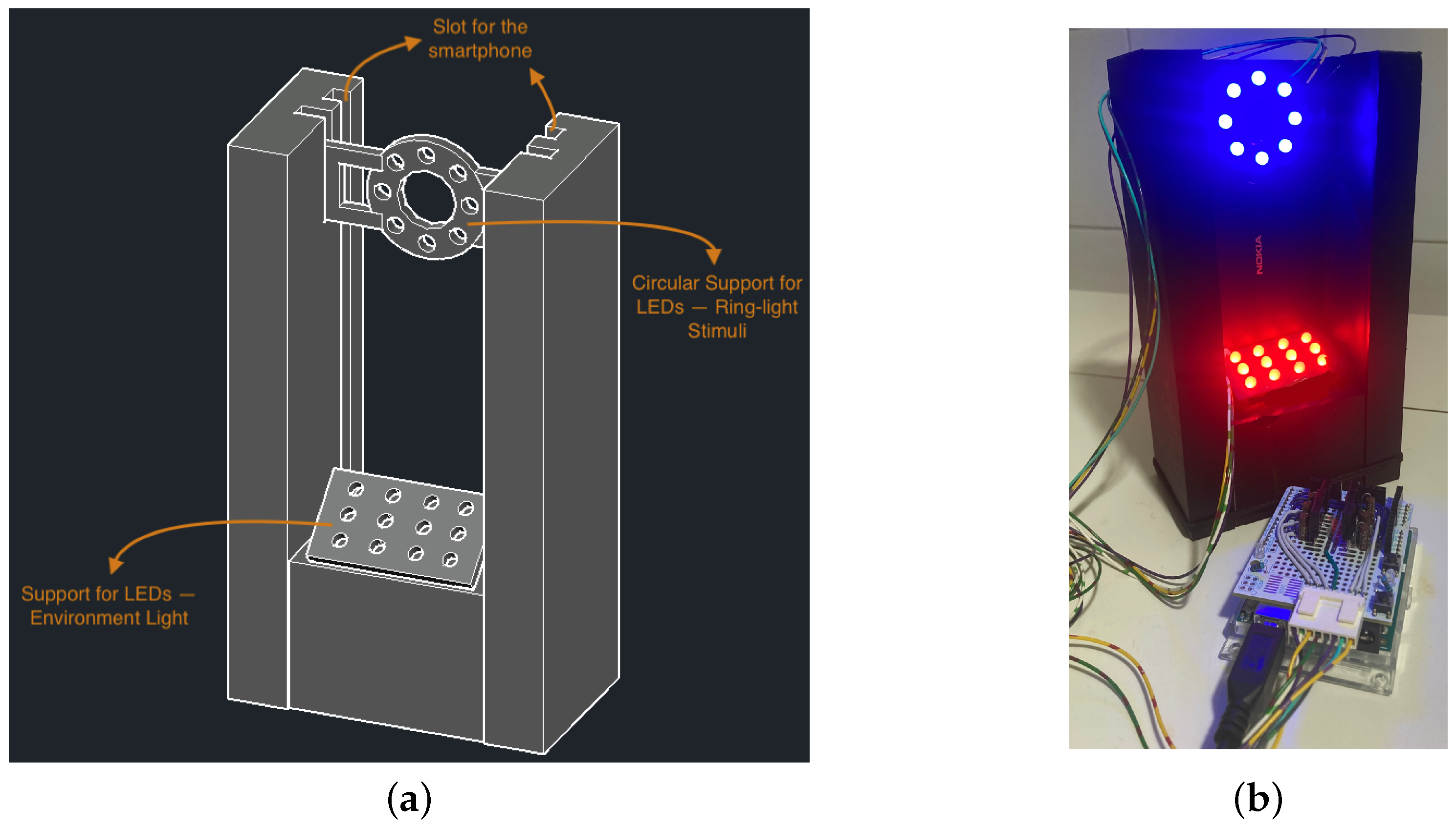 Bioengineering 11 00267 g002