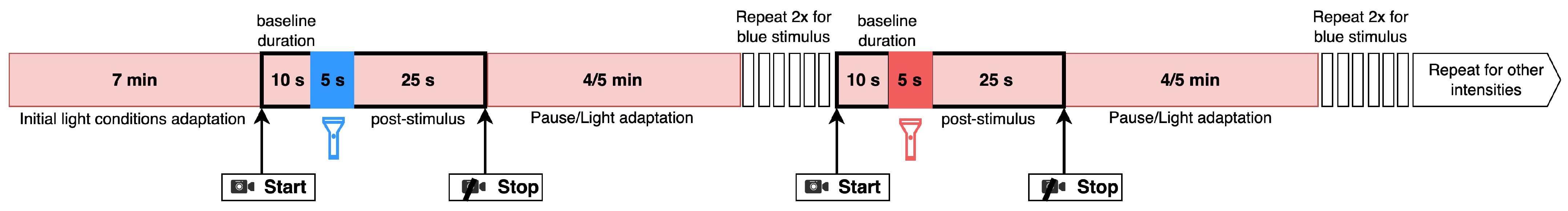 Bioengineering 11 00267 g003