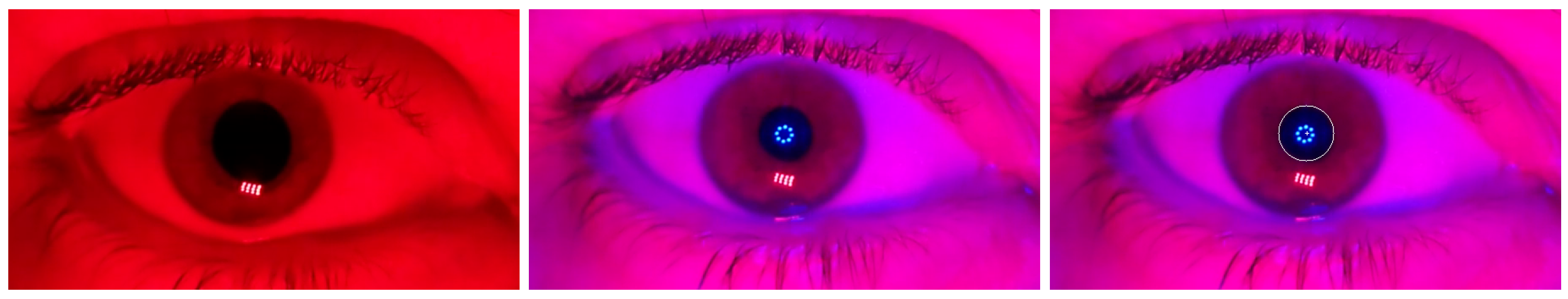 Bioengineering 11 00267 g004