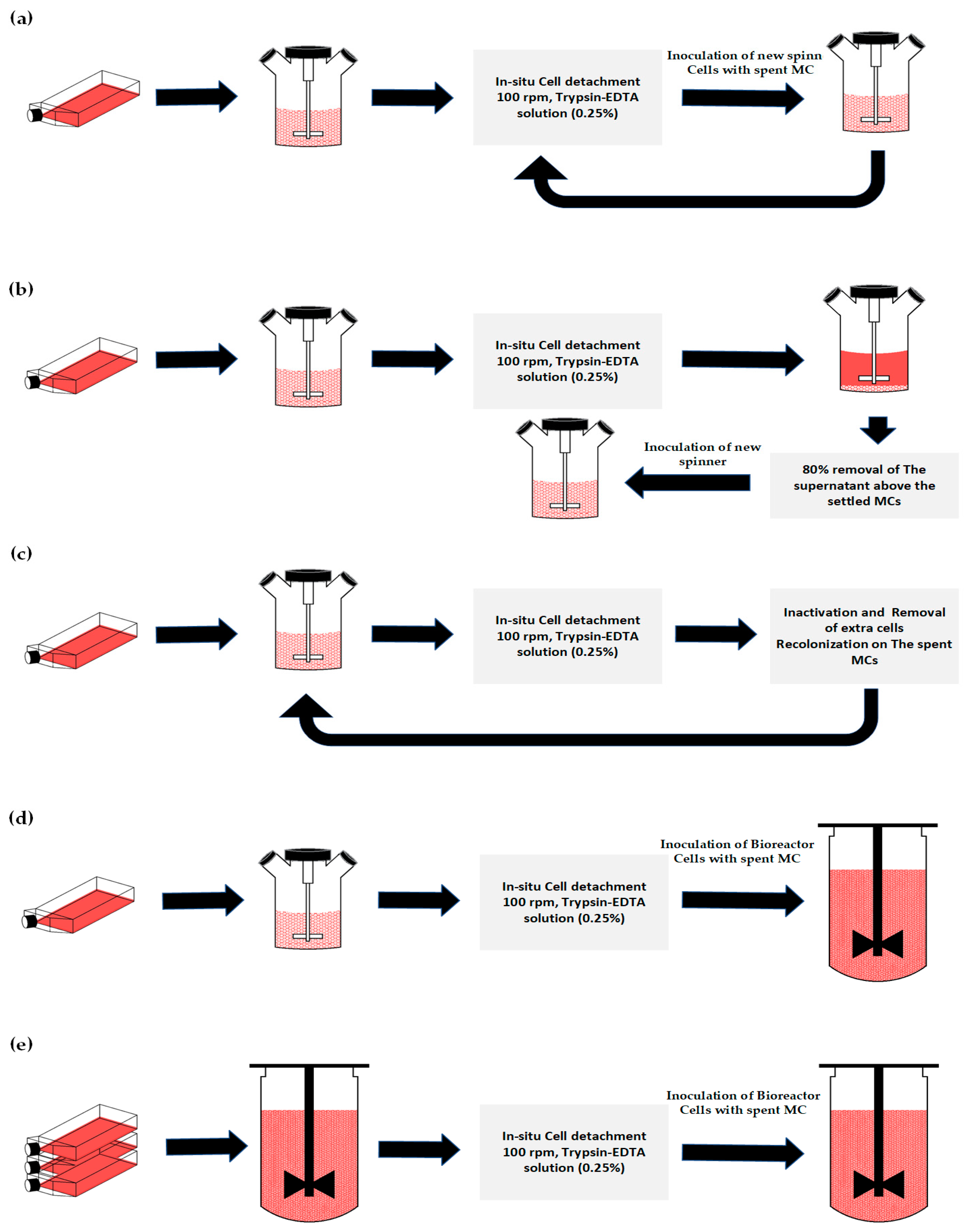 Bioengineering 11 00268 g001