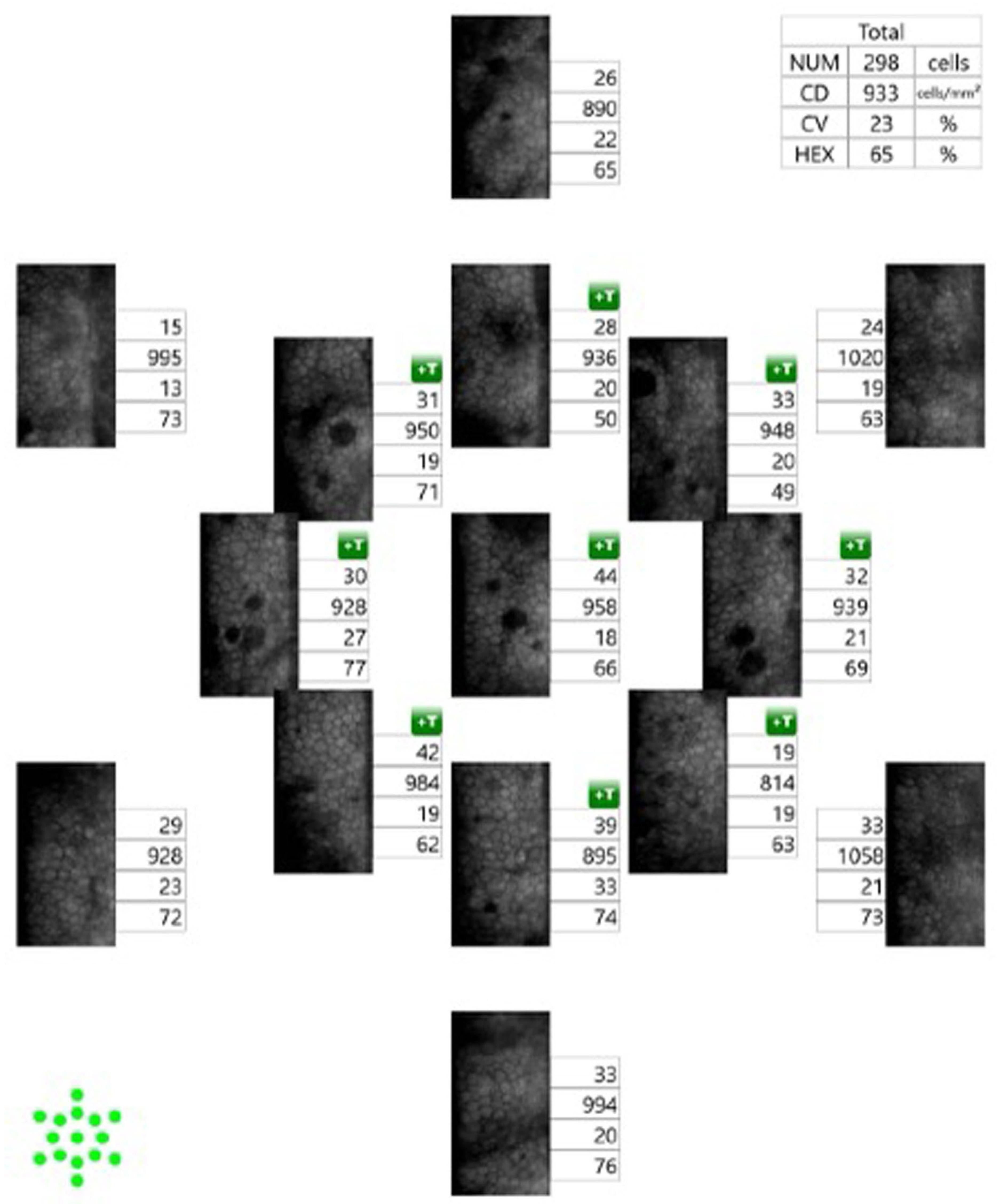 Bioengineering 11 00271 g004