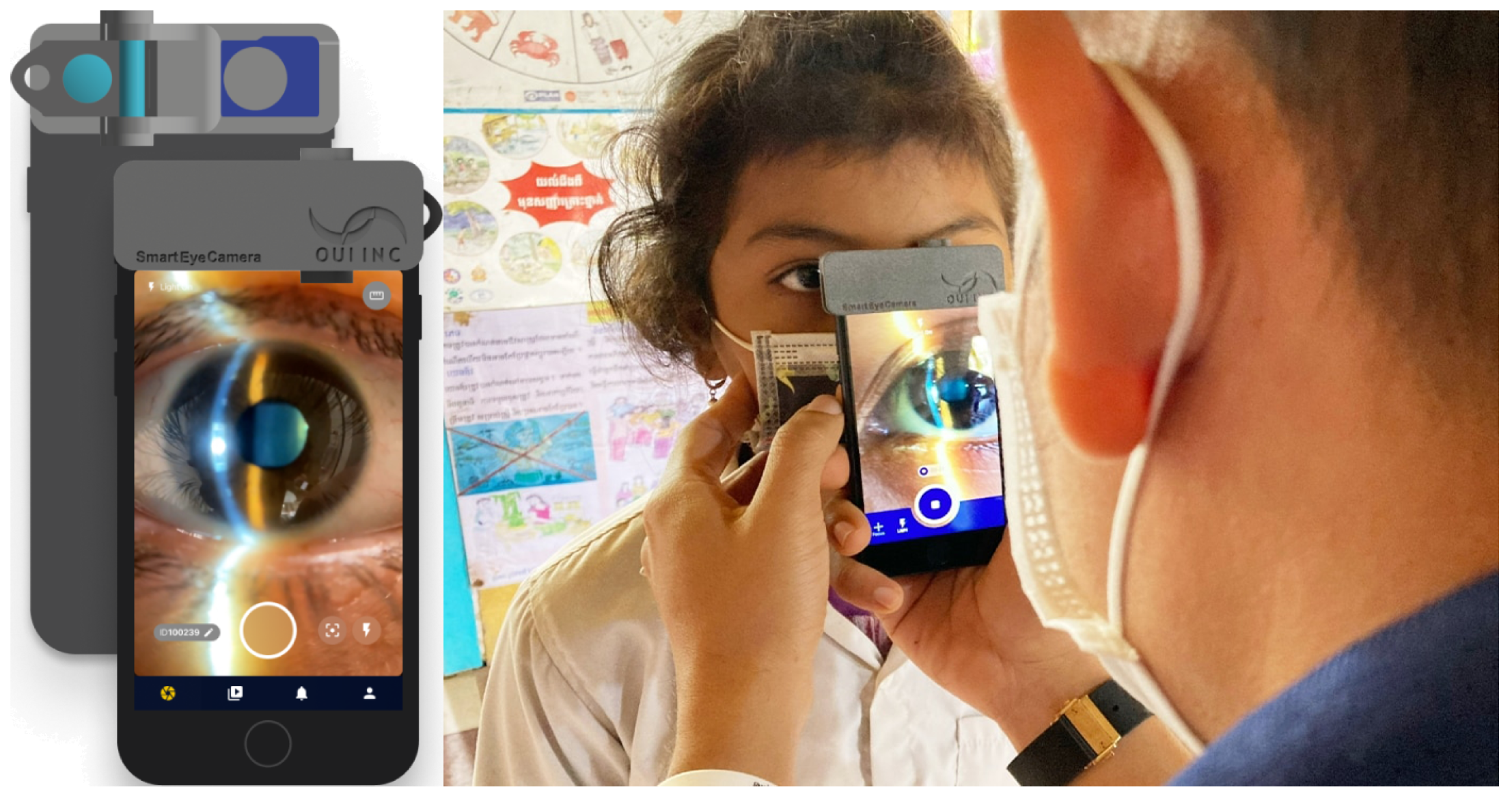 Bioengineering 11 00273 g001