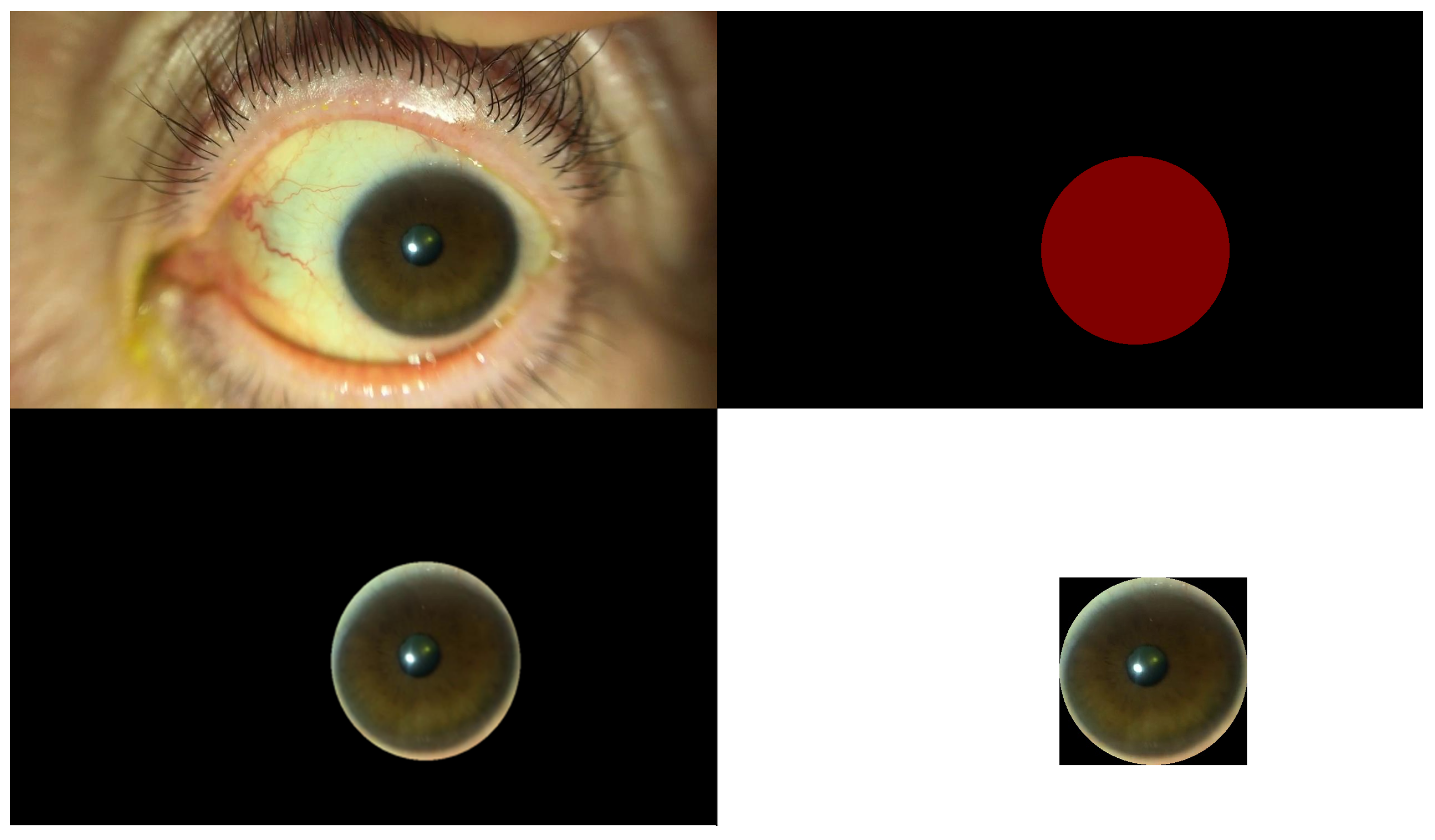 Bioengineering 11 00273 g003