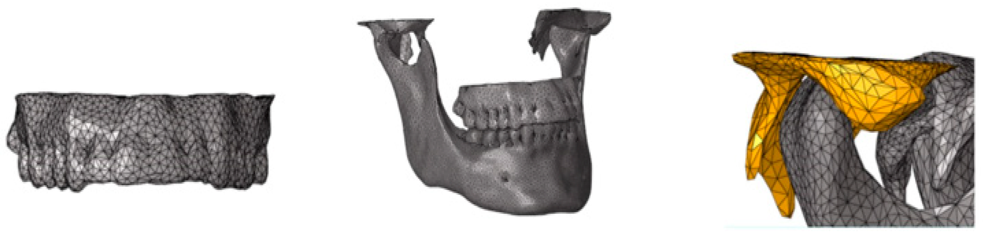 Bioengineering 11 00274 g001