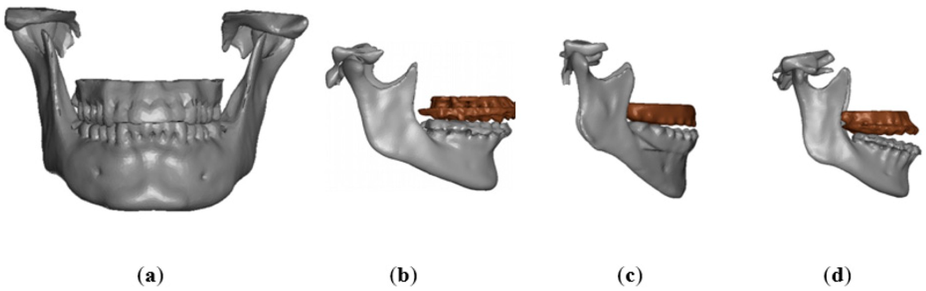 Bioengineering 11 00274 g003