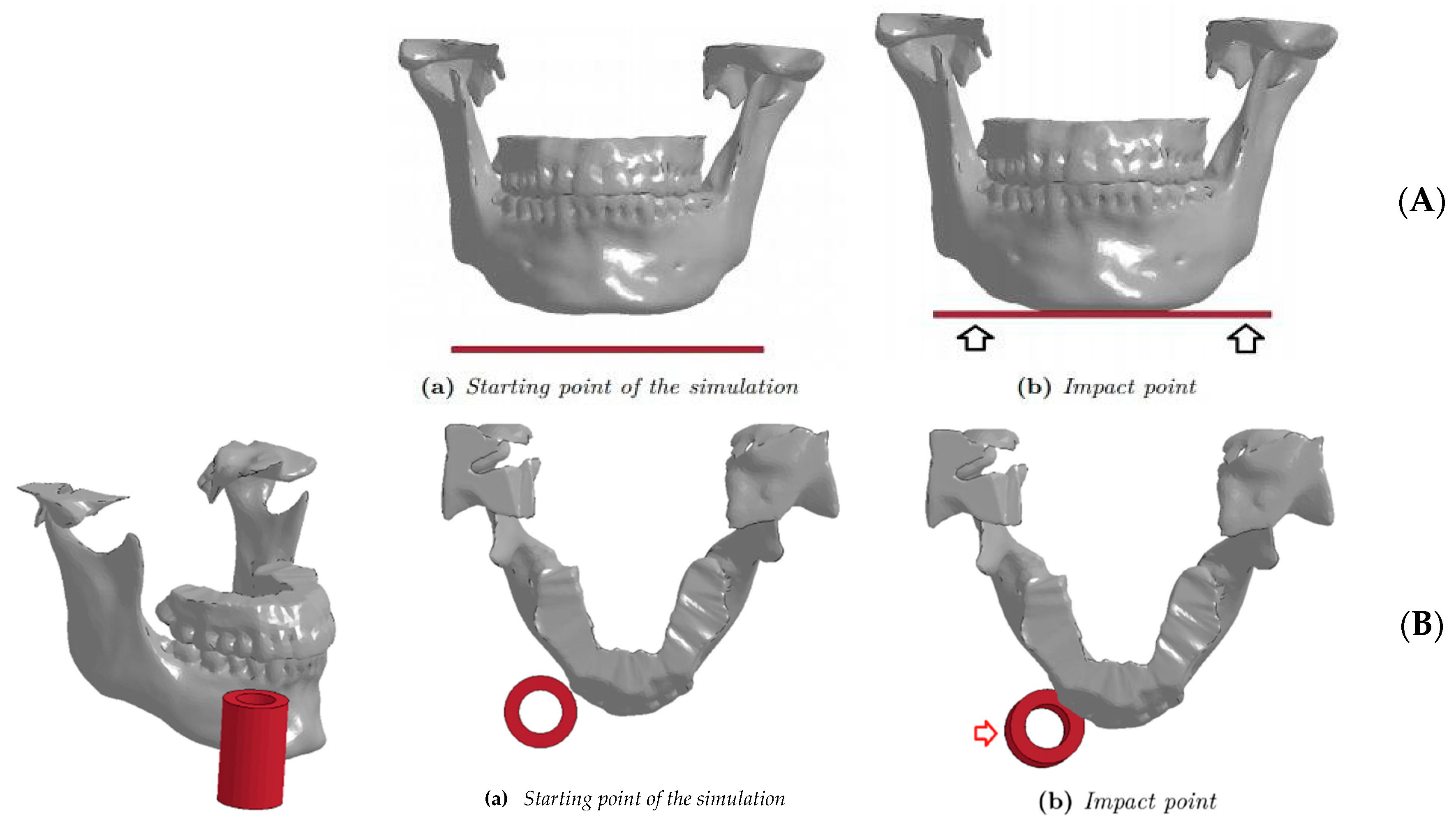 Bioengineering 11 00274 g004