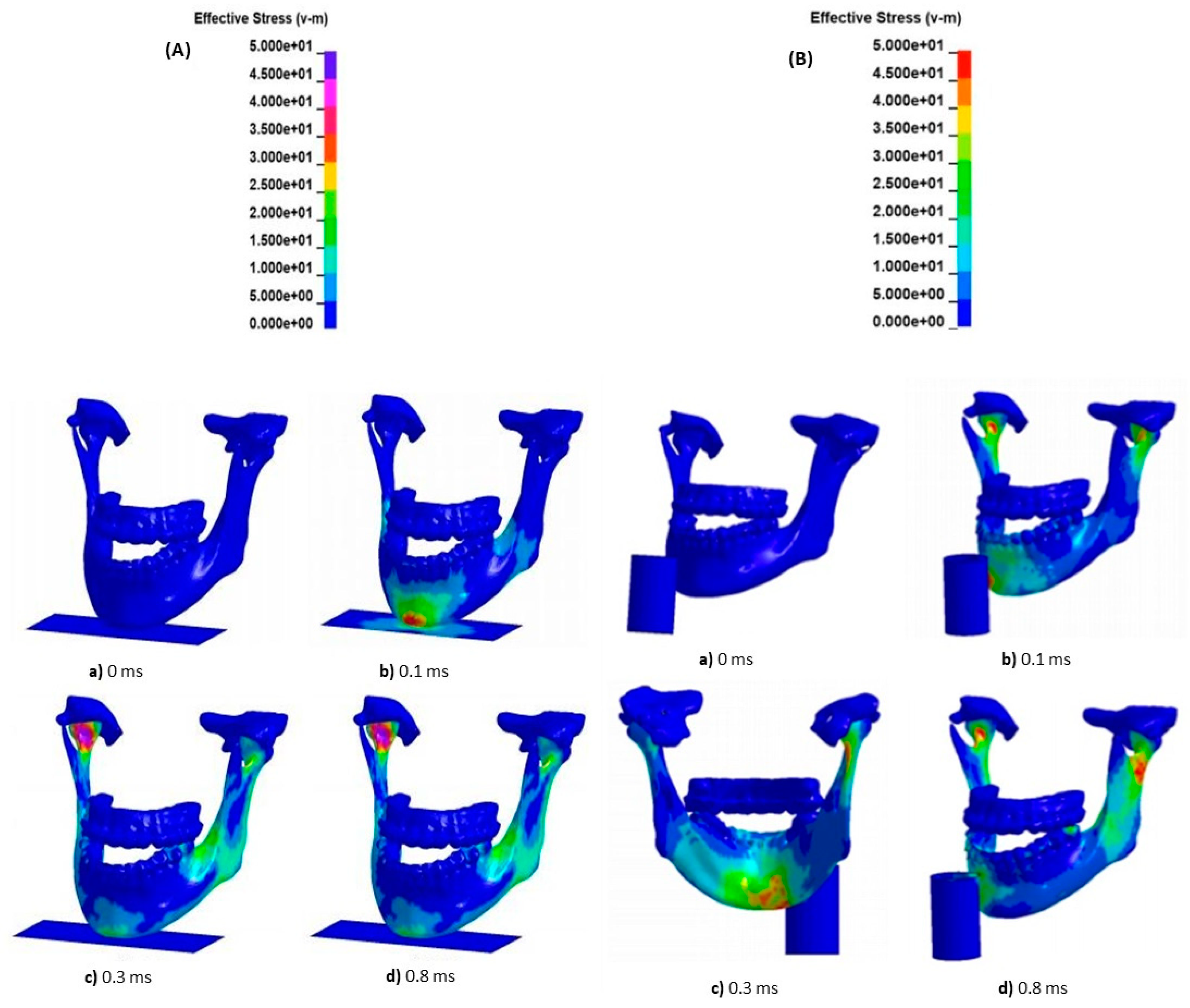 Bioengineering 11 00274 g005