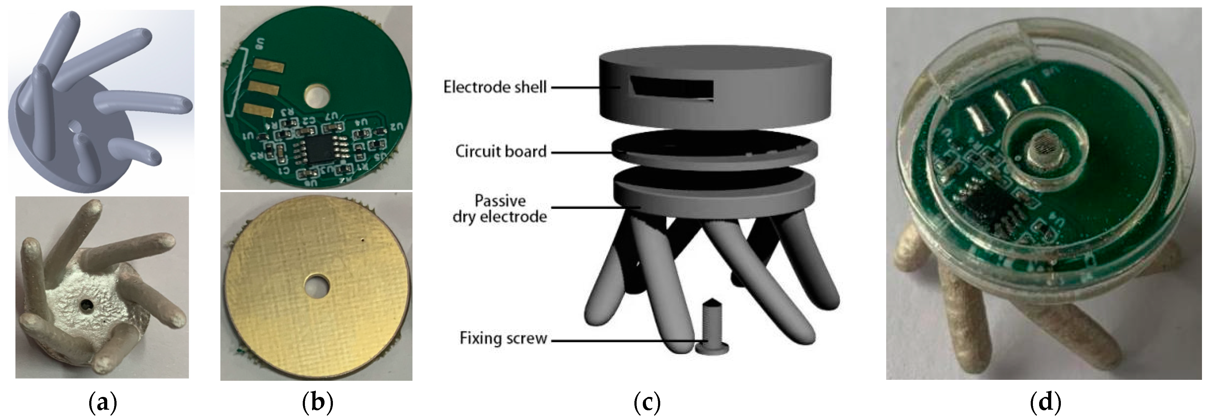 Bioengineering 11 00276 g001