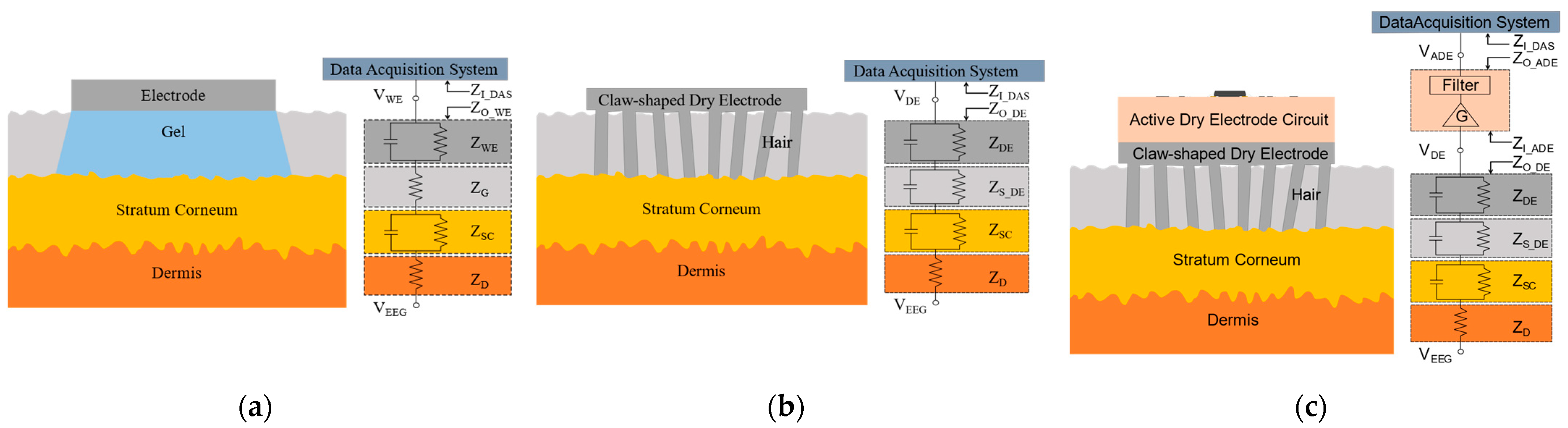 Bioengineering 11 00276 g002