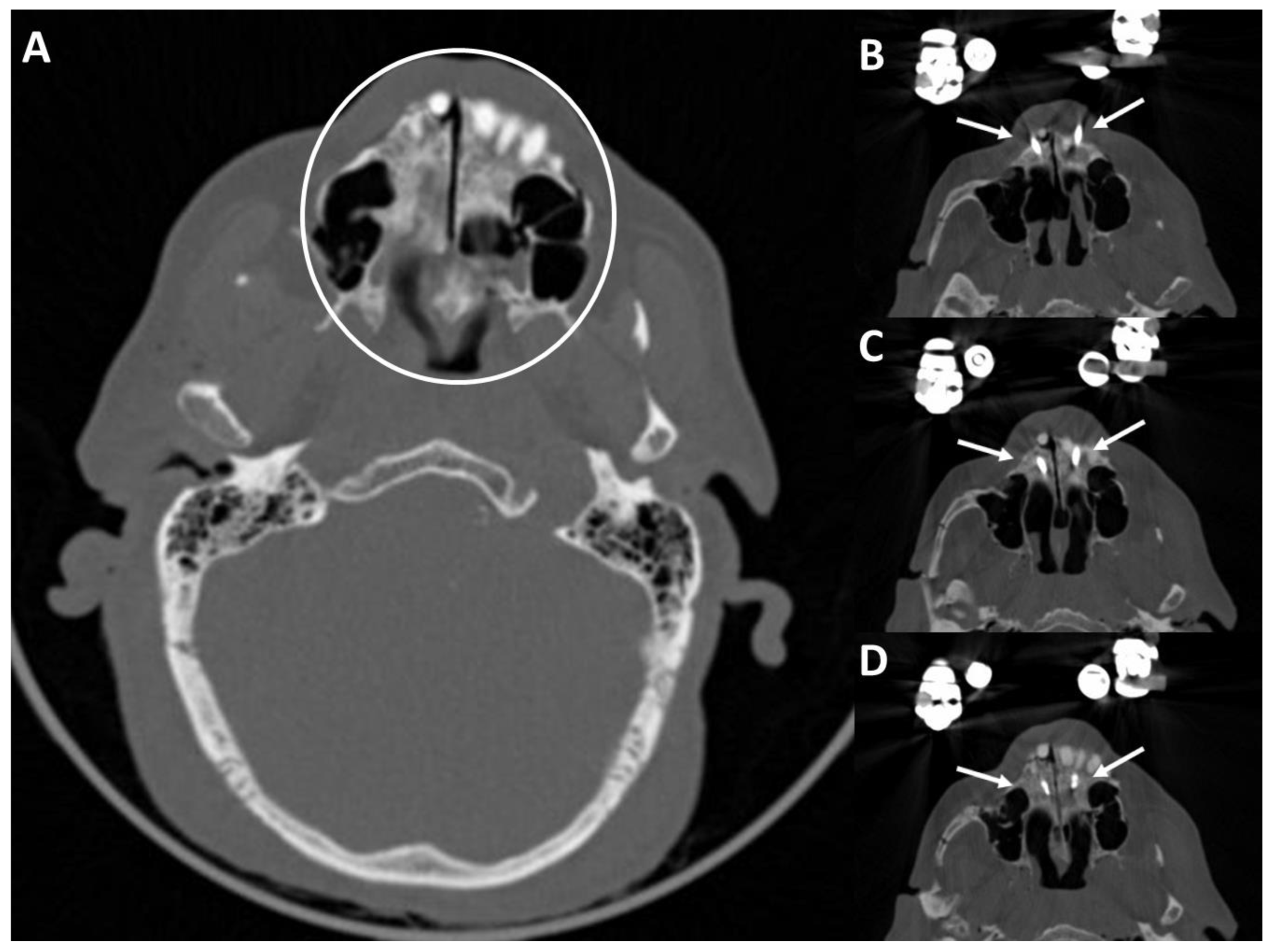 Bioengineering 11 00279 g006