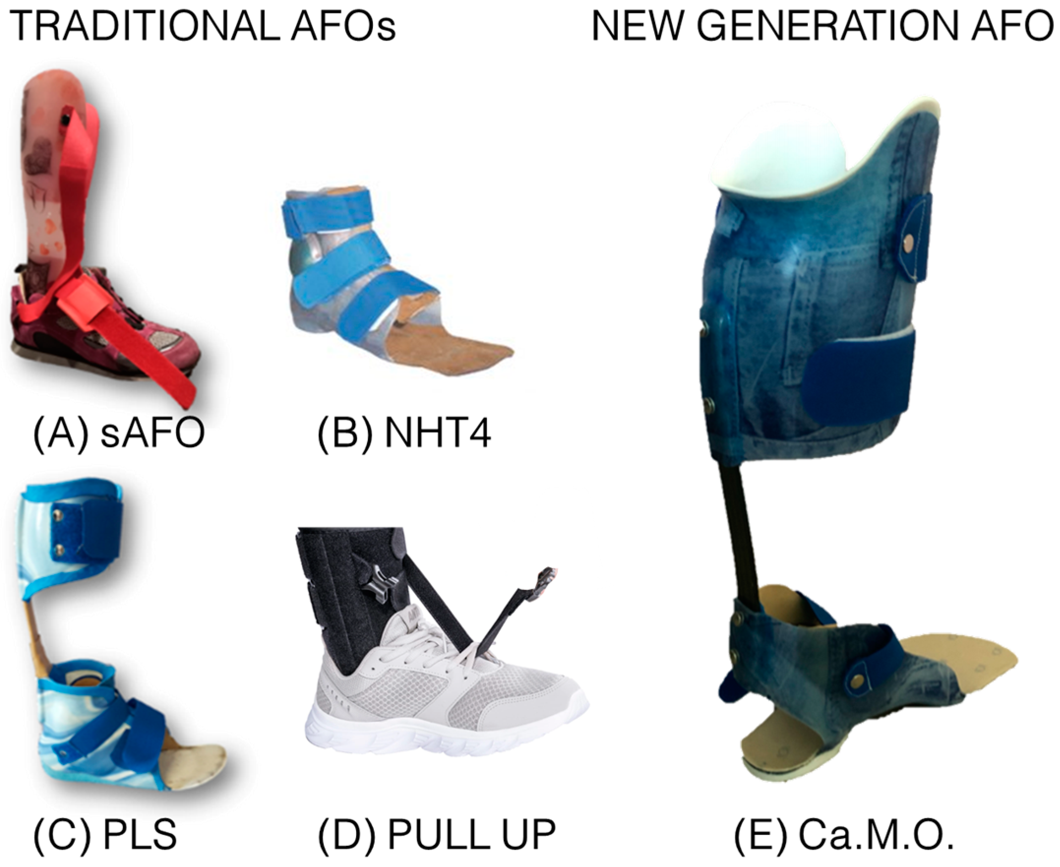 Bioengineering 11 00280 g001 Bioengineering 11 00280 g001