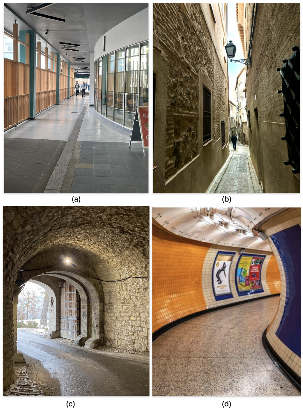 Bioengineering 11 00283 g004