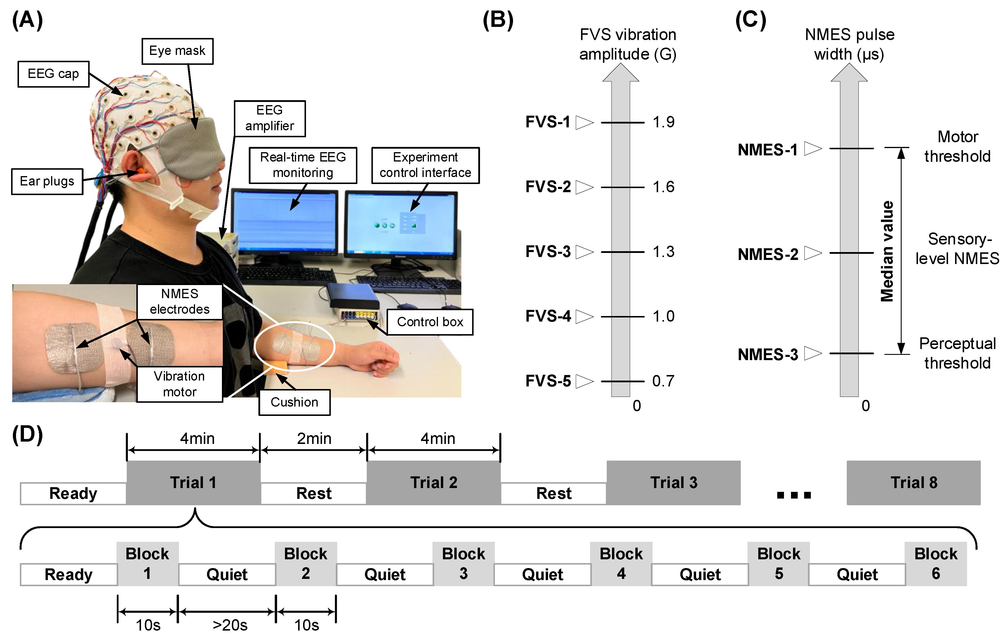 Comparison of Immediate Neuromodulatory Effects between Focal 