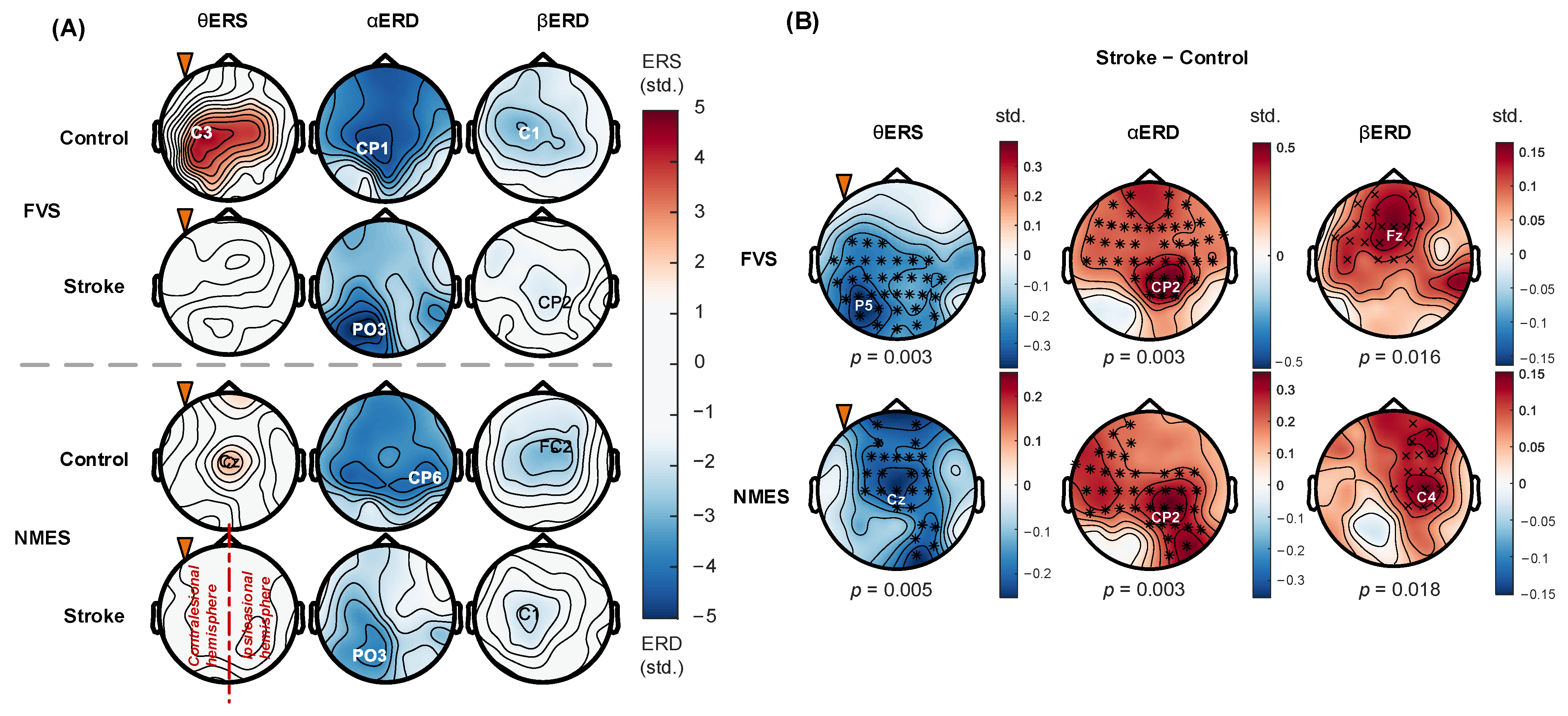 Bioengineering 11 00286 g008