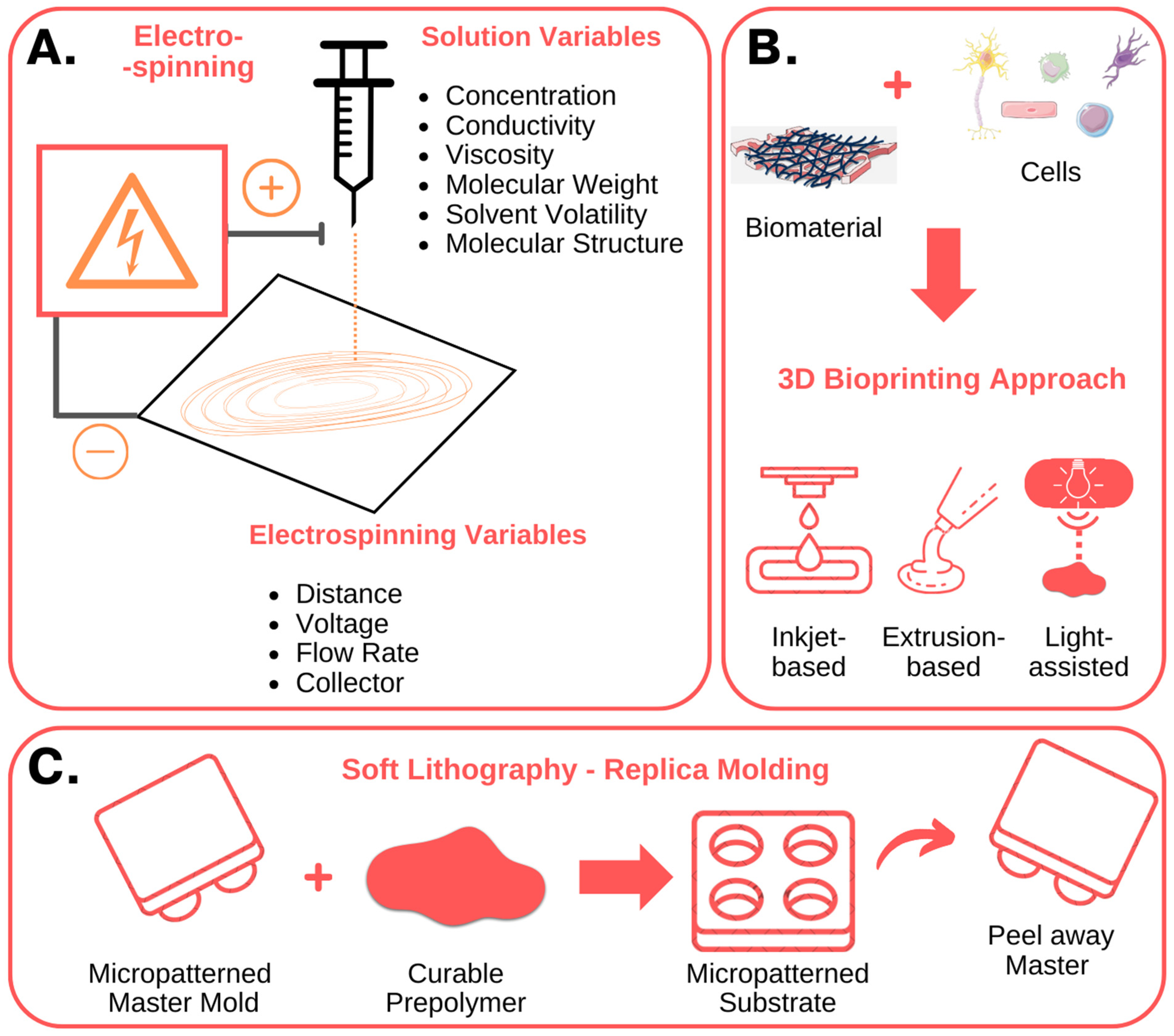 Bioengineering 11 00289 g002